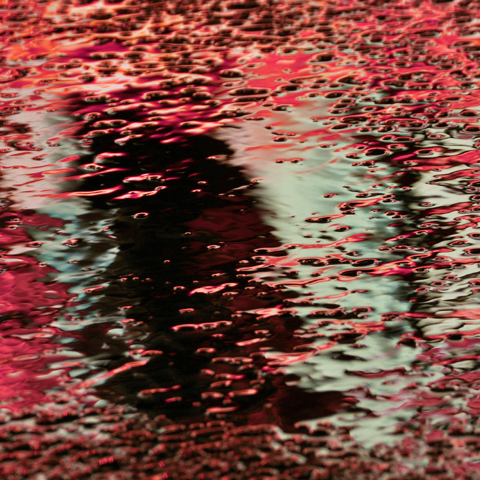 Владимир Михайлуца