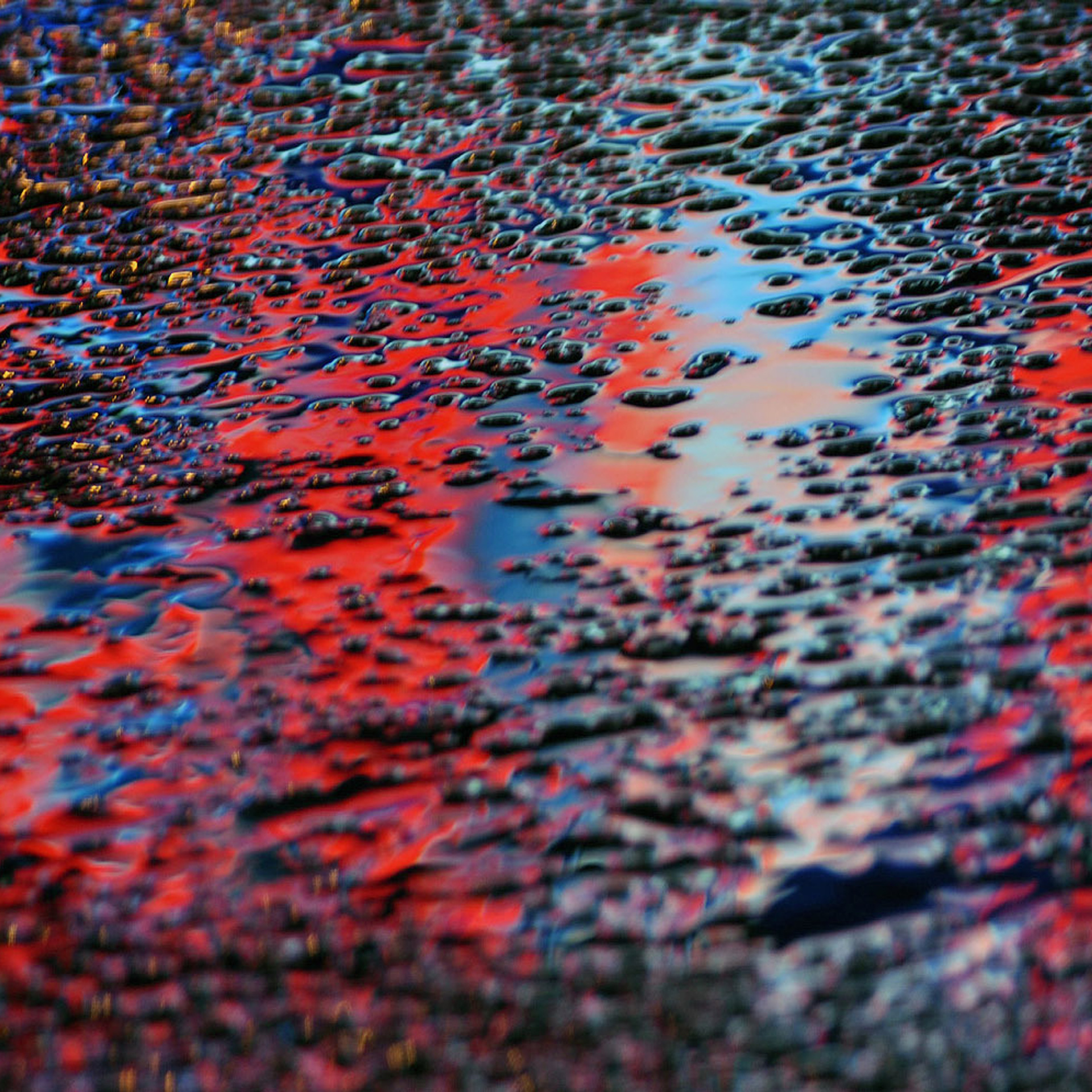 Владимир Михайлуца