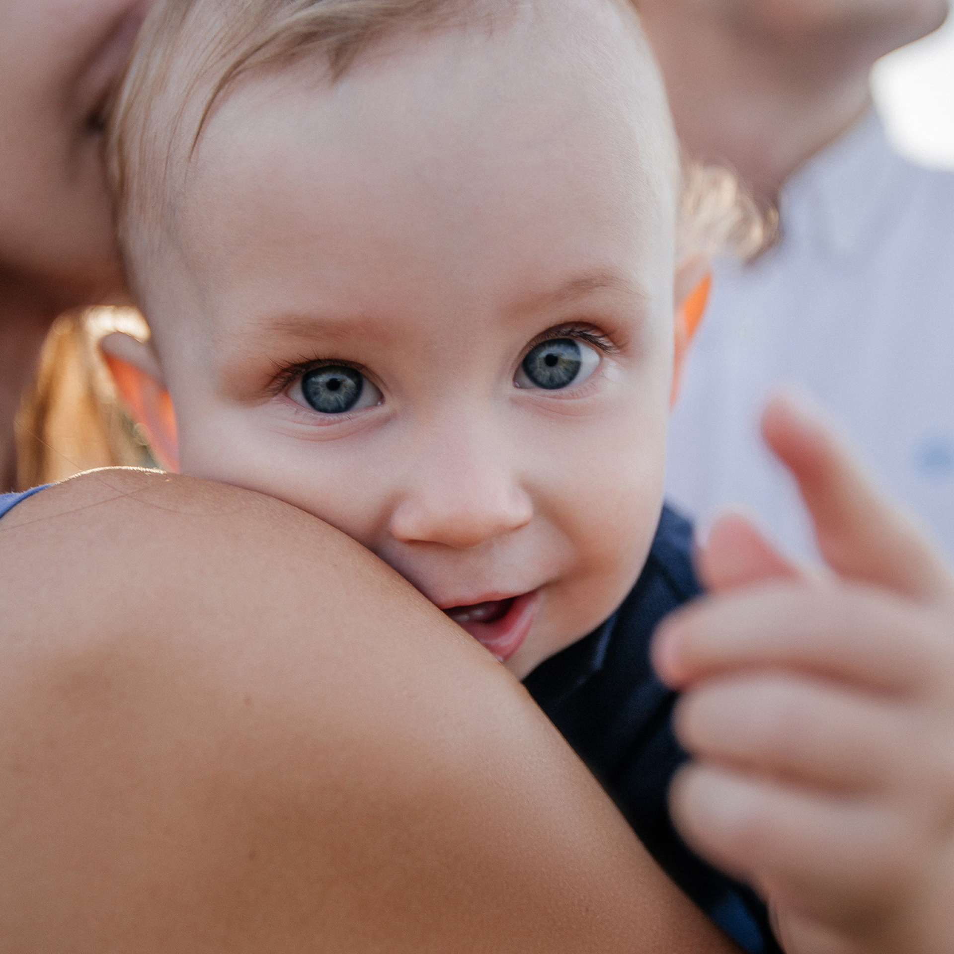 Пшеница на закате