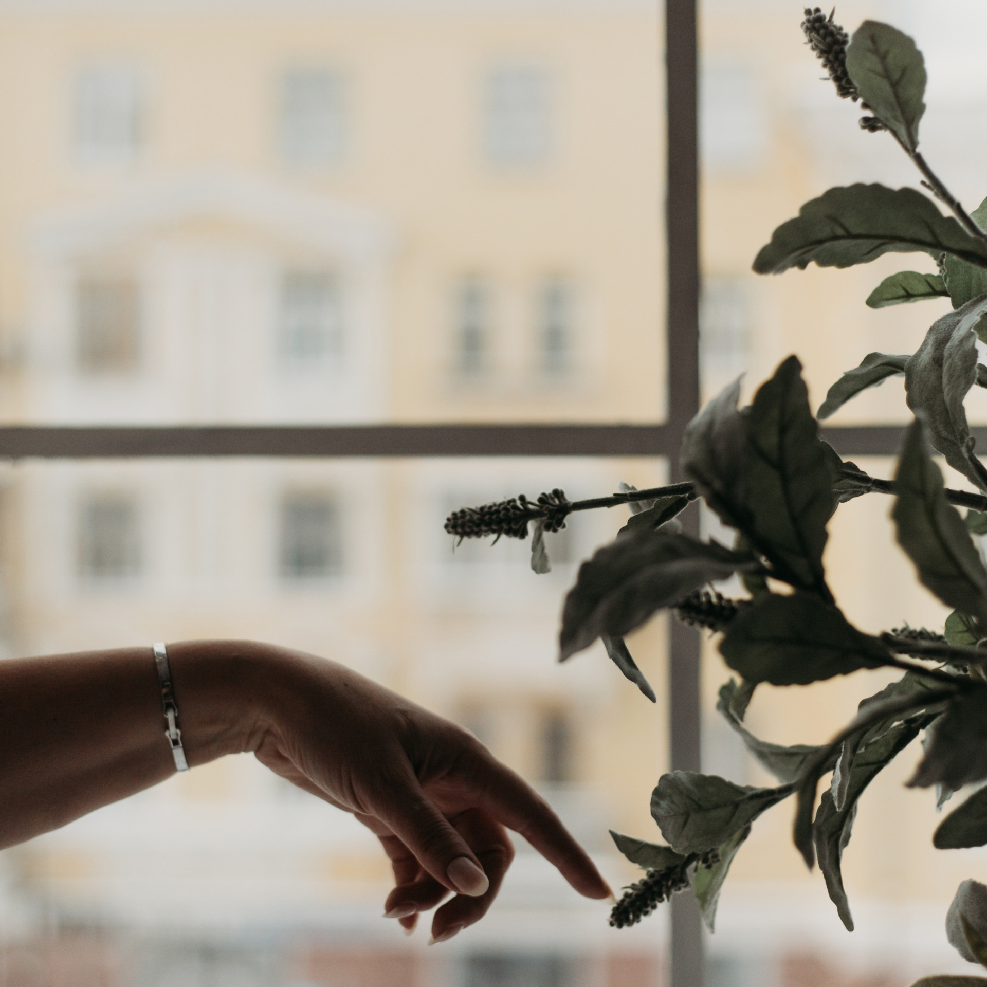 Отзывы. Фотограф Красноярск Рукосуева Катерина