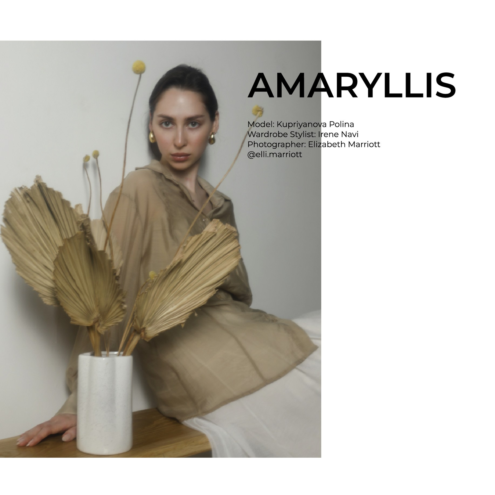 FIGGI magazine Amaryllis