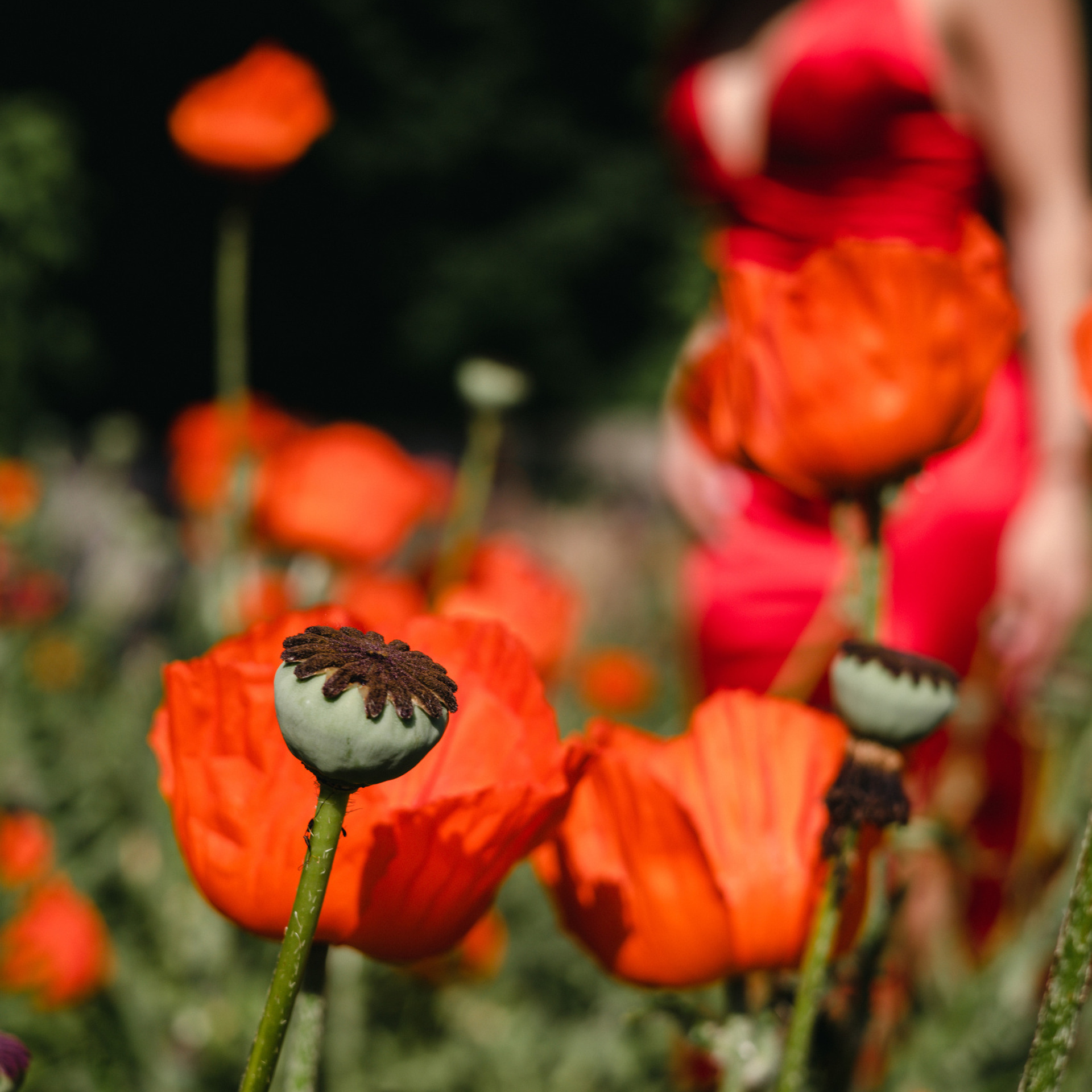 Отзывы. Портретный и семейный фотограф в Воронеже Ксения Ремизова
