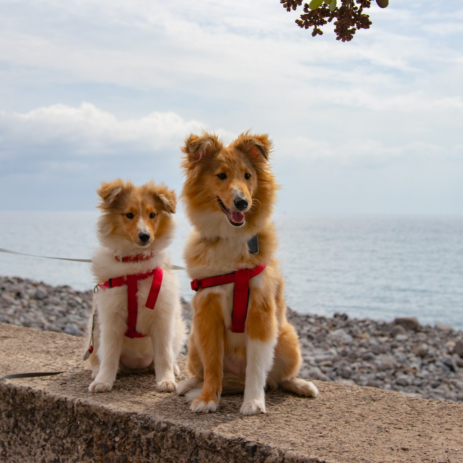 2019 03 Мадейра