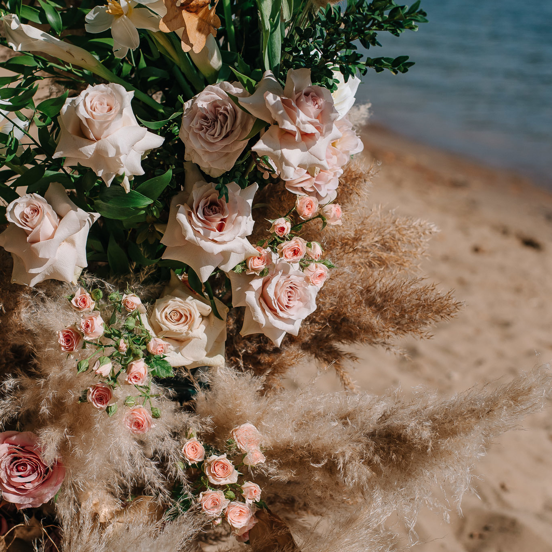 Фото контент. Фотограф Валерия Голубева (Миронова)