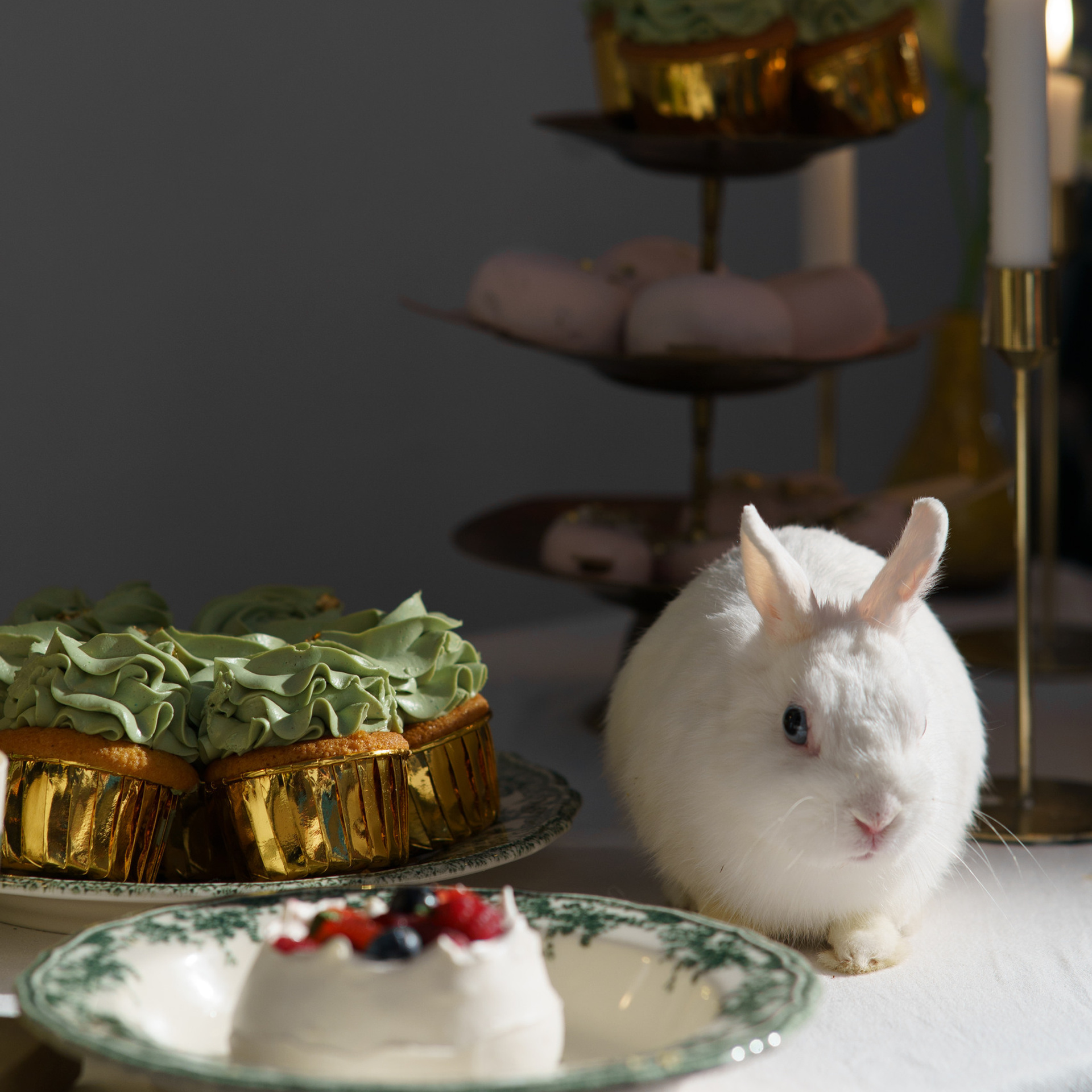 Отзывы. Фотограф Виктория Юленкова