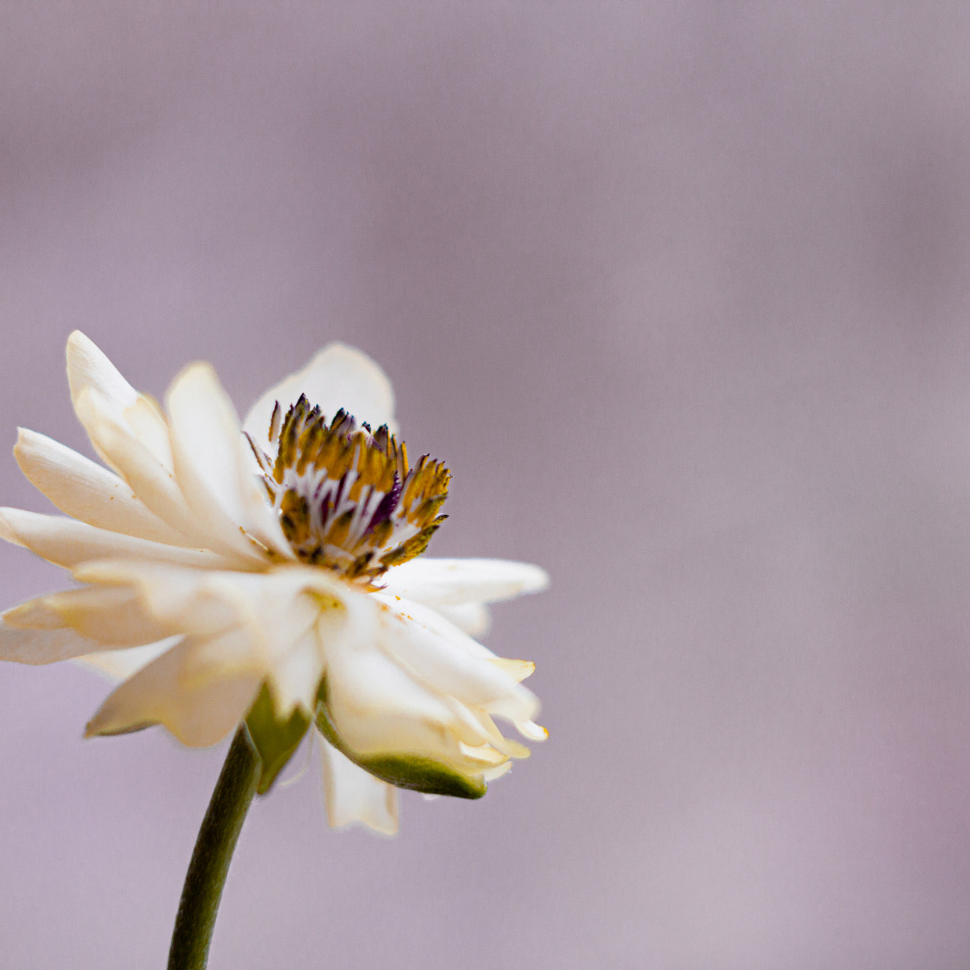 Макросъемка