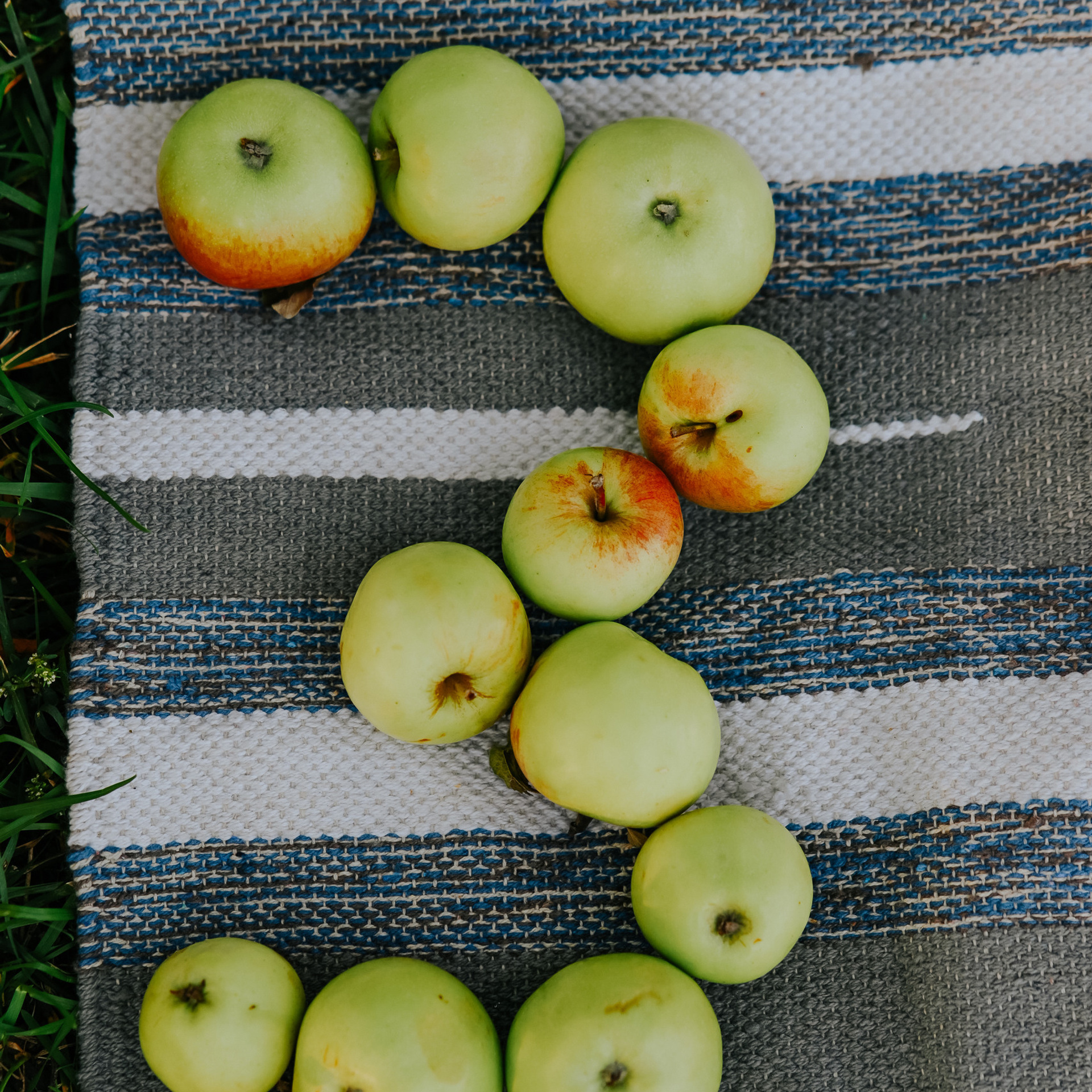 Отзывы. Свадебный, семейный и школьный фотограф в Бийске Ксения Мамаева