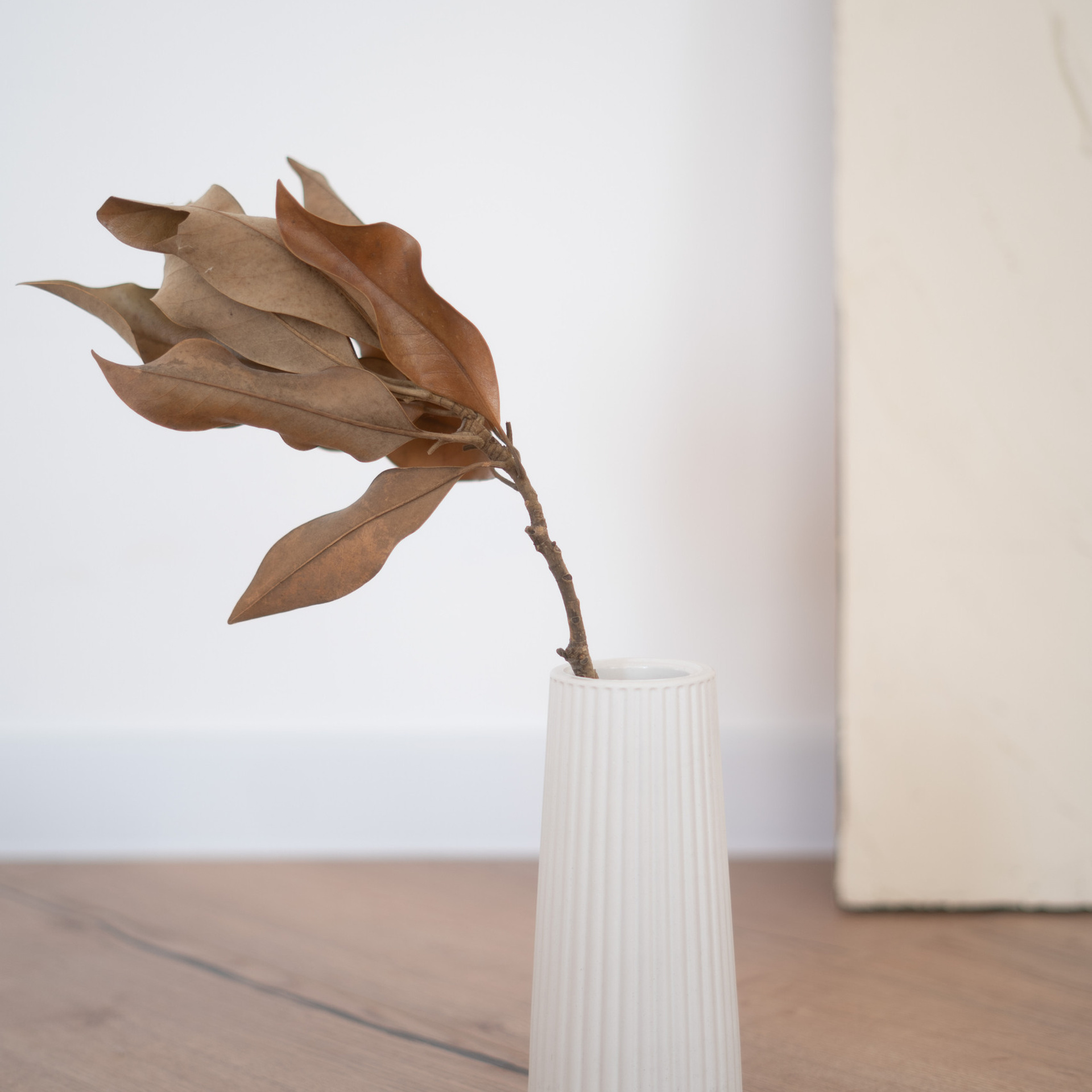 Отзывы. Контент фотограф-видеомейкер Сухарь Мария