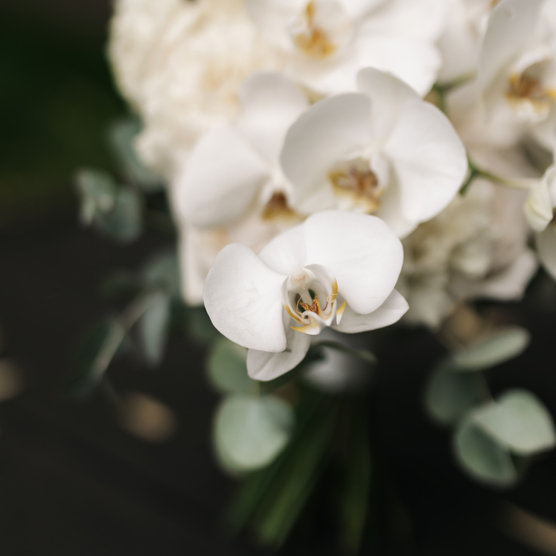 Отзывы. Свадебный фотограф Москва Мотеюнайте Виктория