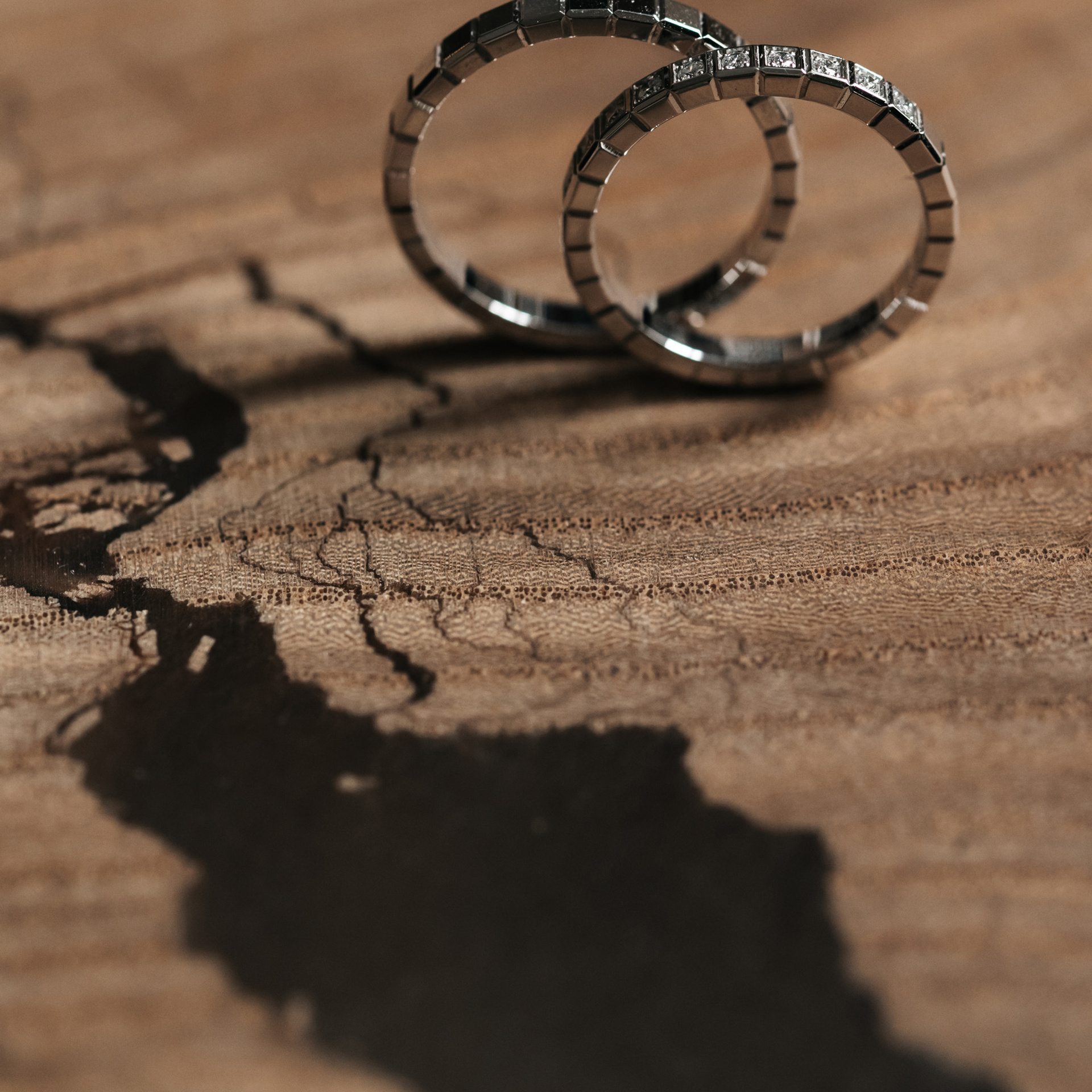 Отзывы. Свадебный фотограф Москва Мотеюнайте Виктория