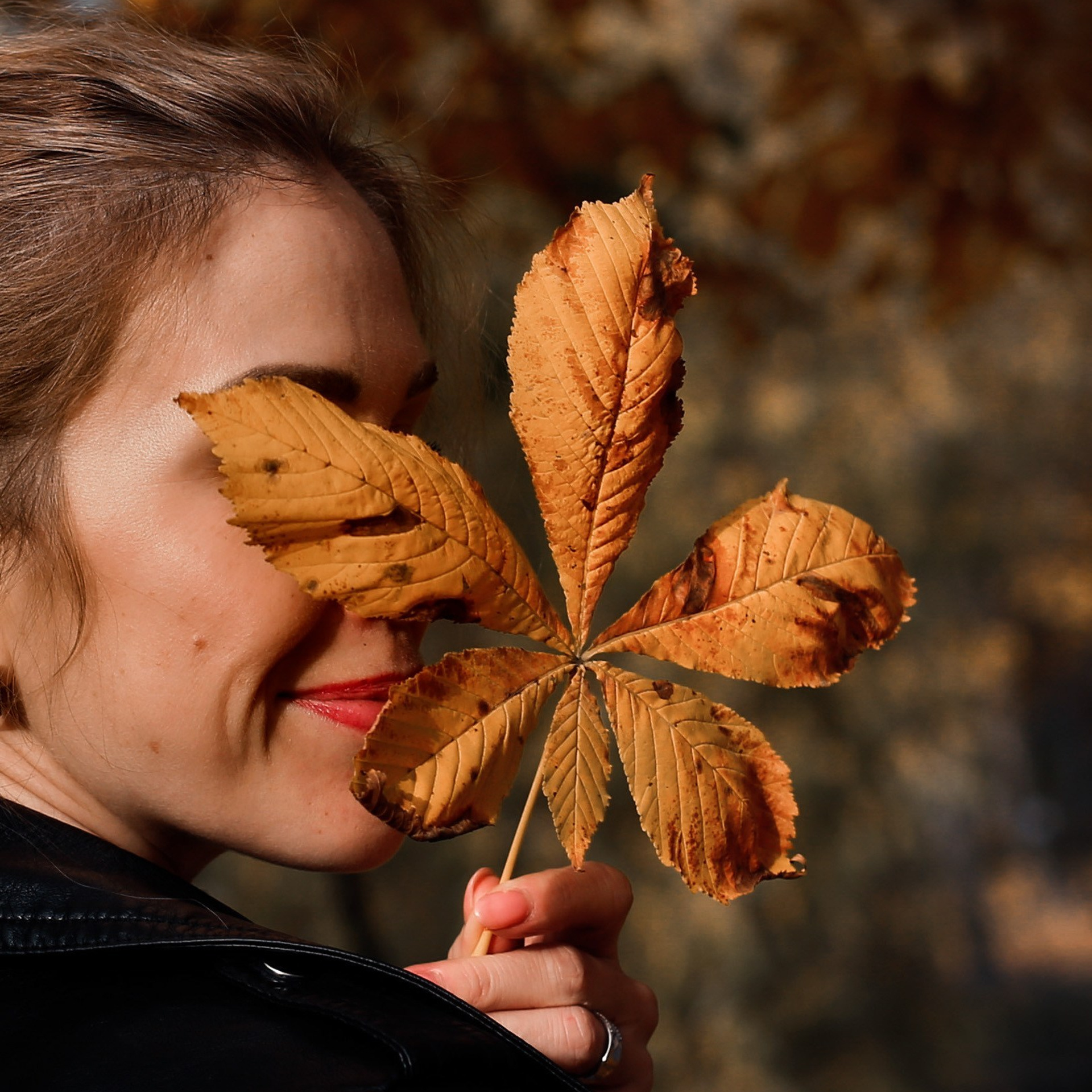 Осень в&nbsp;парке