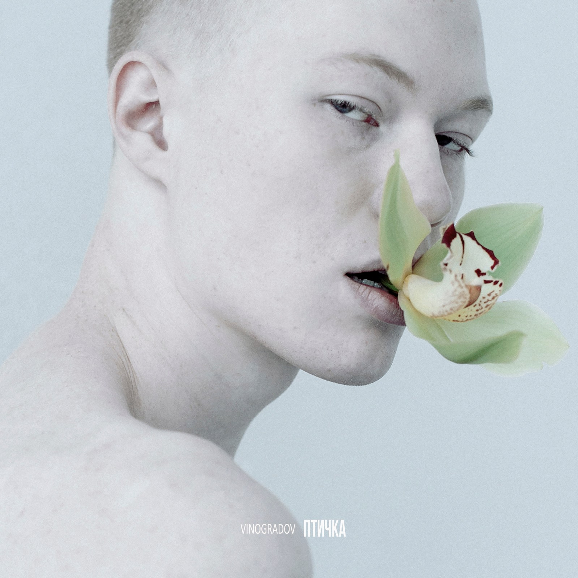 Музыка. Сергей Виноградов фотограф Россия Санкт-Петербург