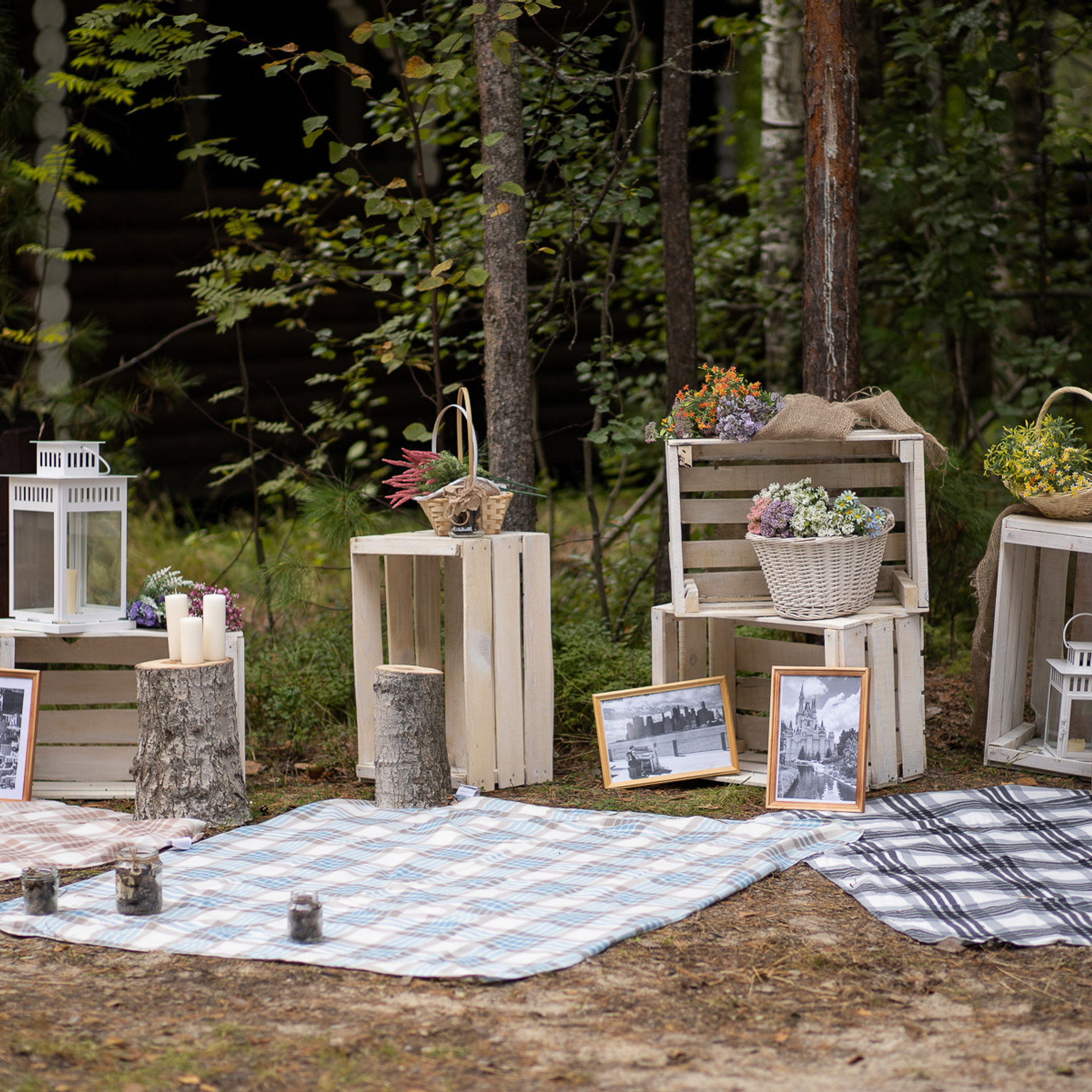 Отзывы. Фотограф Дмитрий Плетнёв