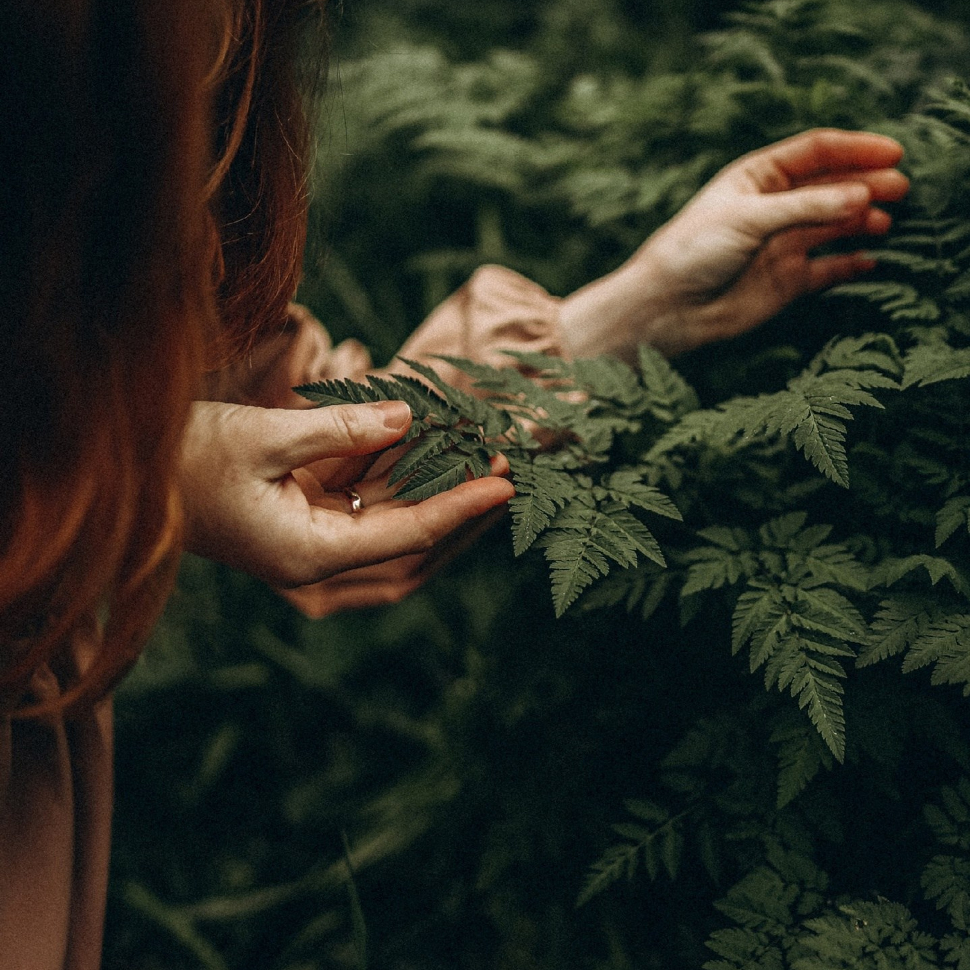 Фотограф Полторанова Анастасия Алексеевна