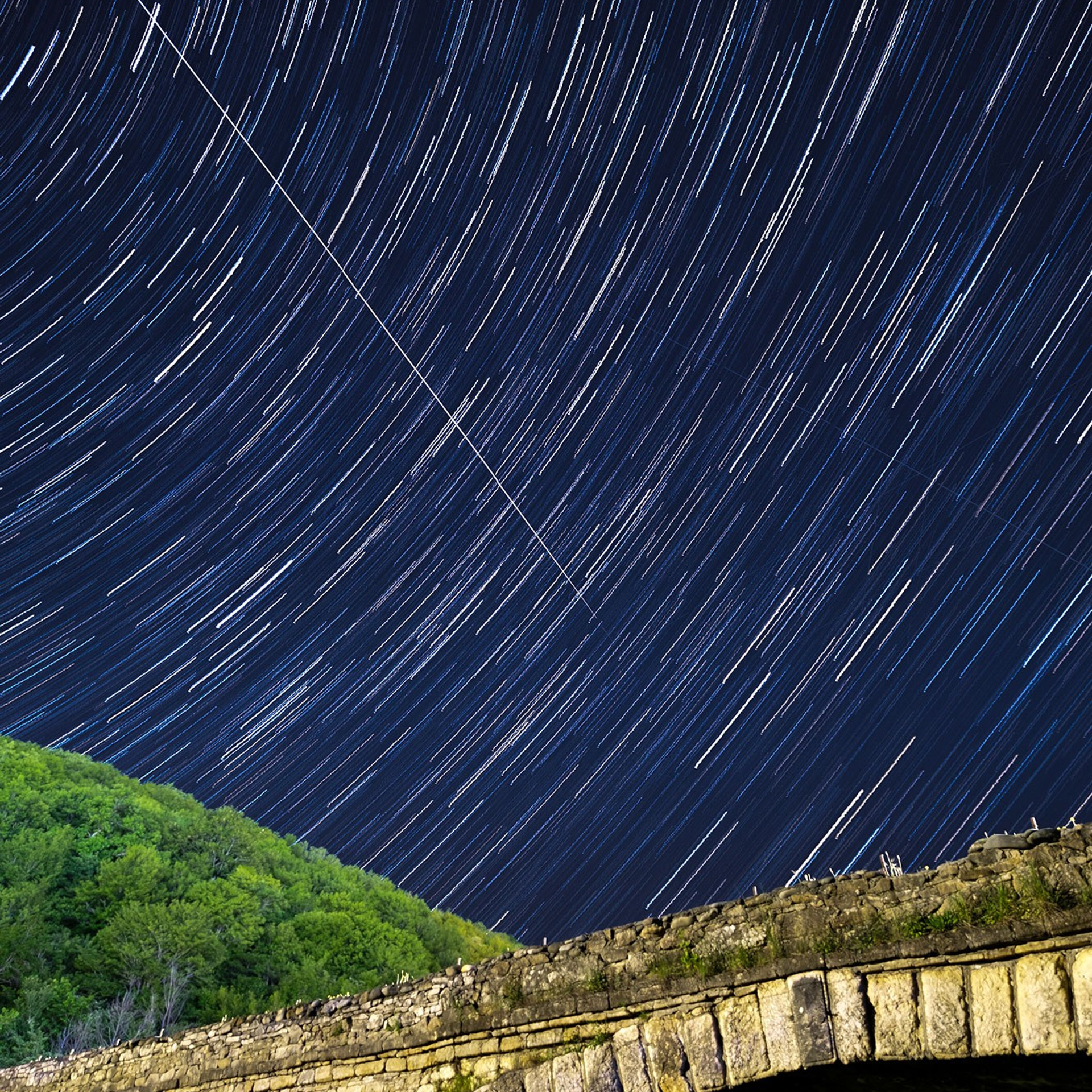 Природа — разное