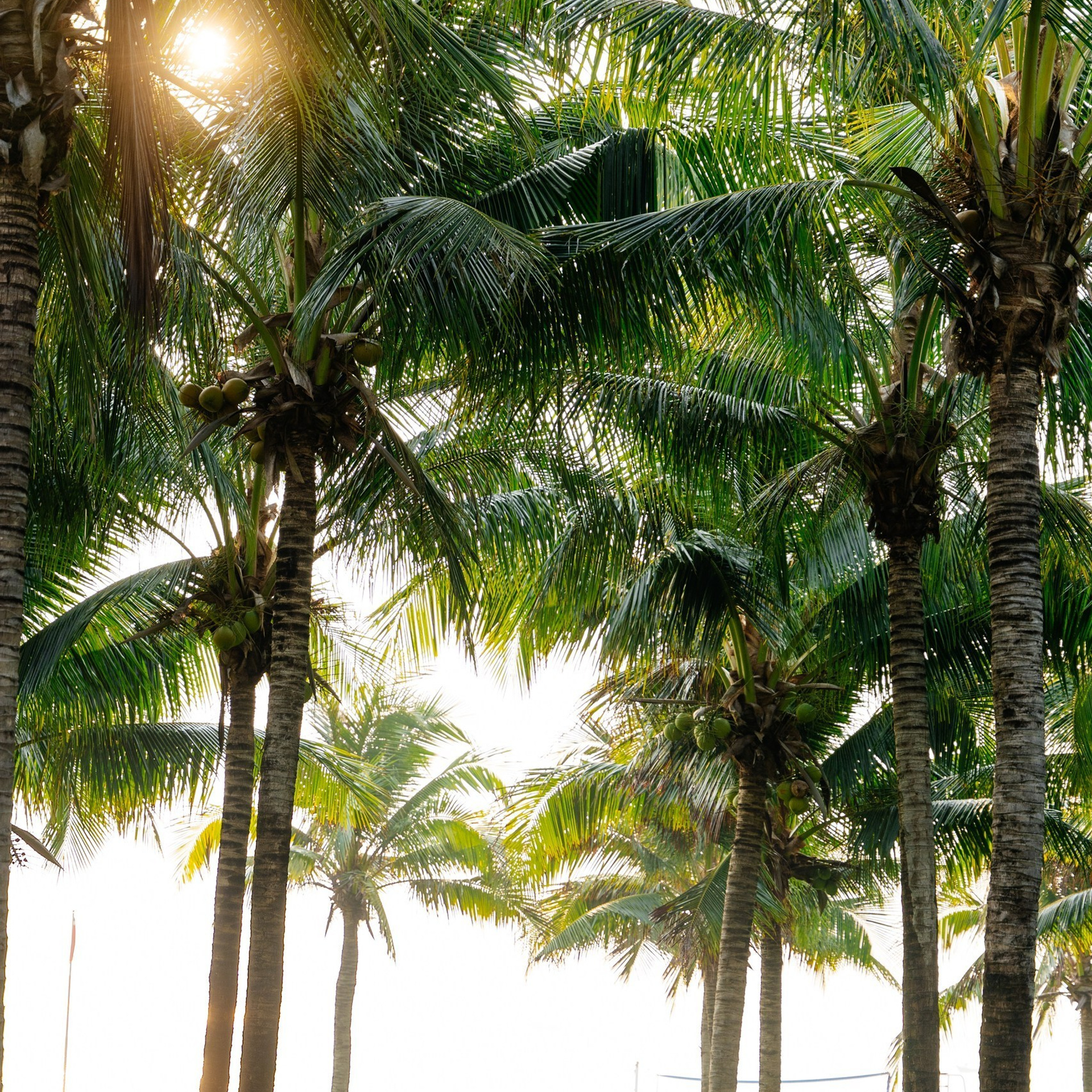 Отзывы. Свадебный фотограф алматы Шожебаев Кайрат