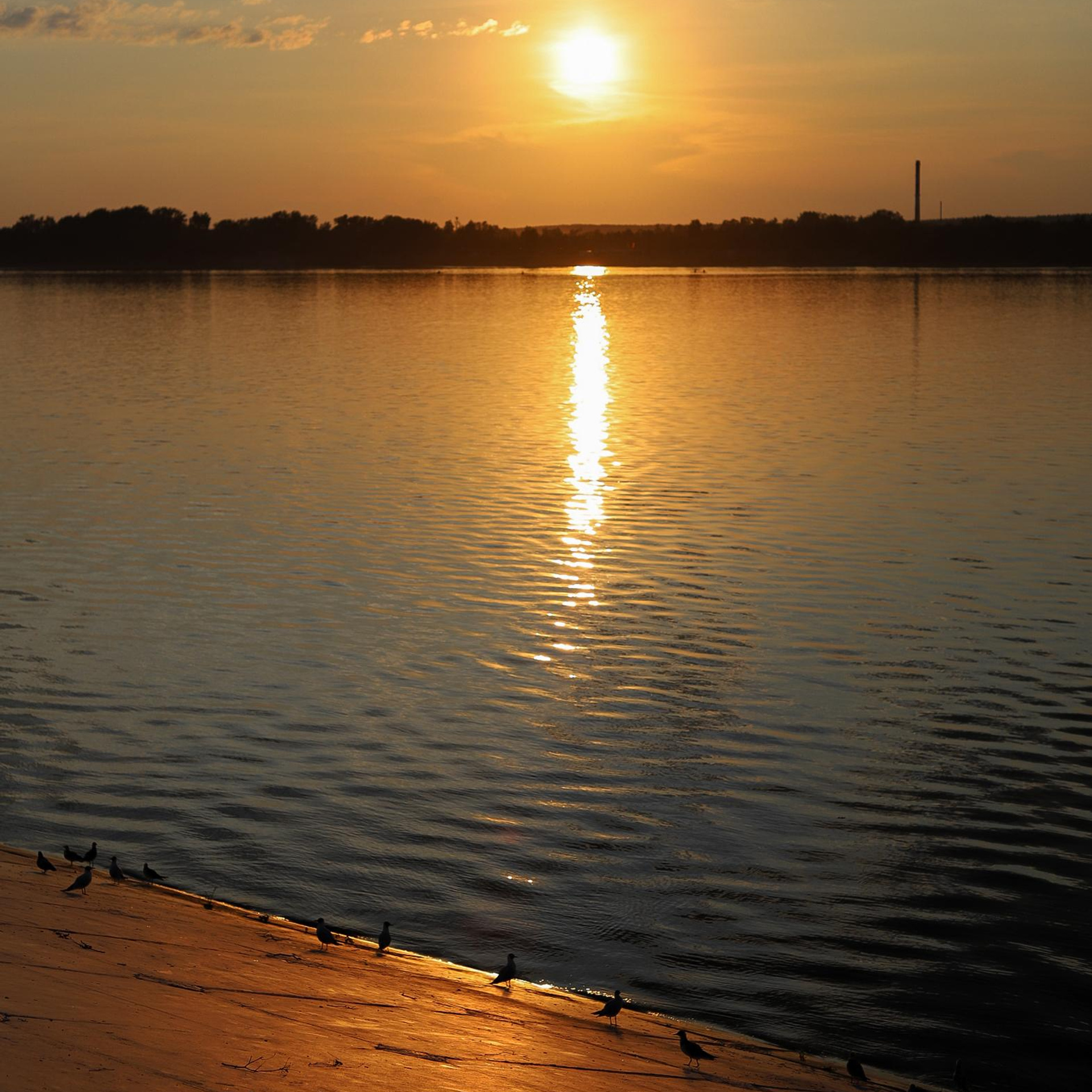 Природа, закат