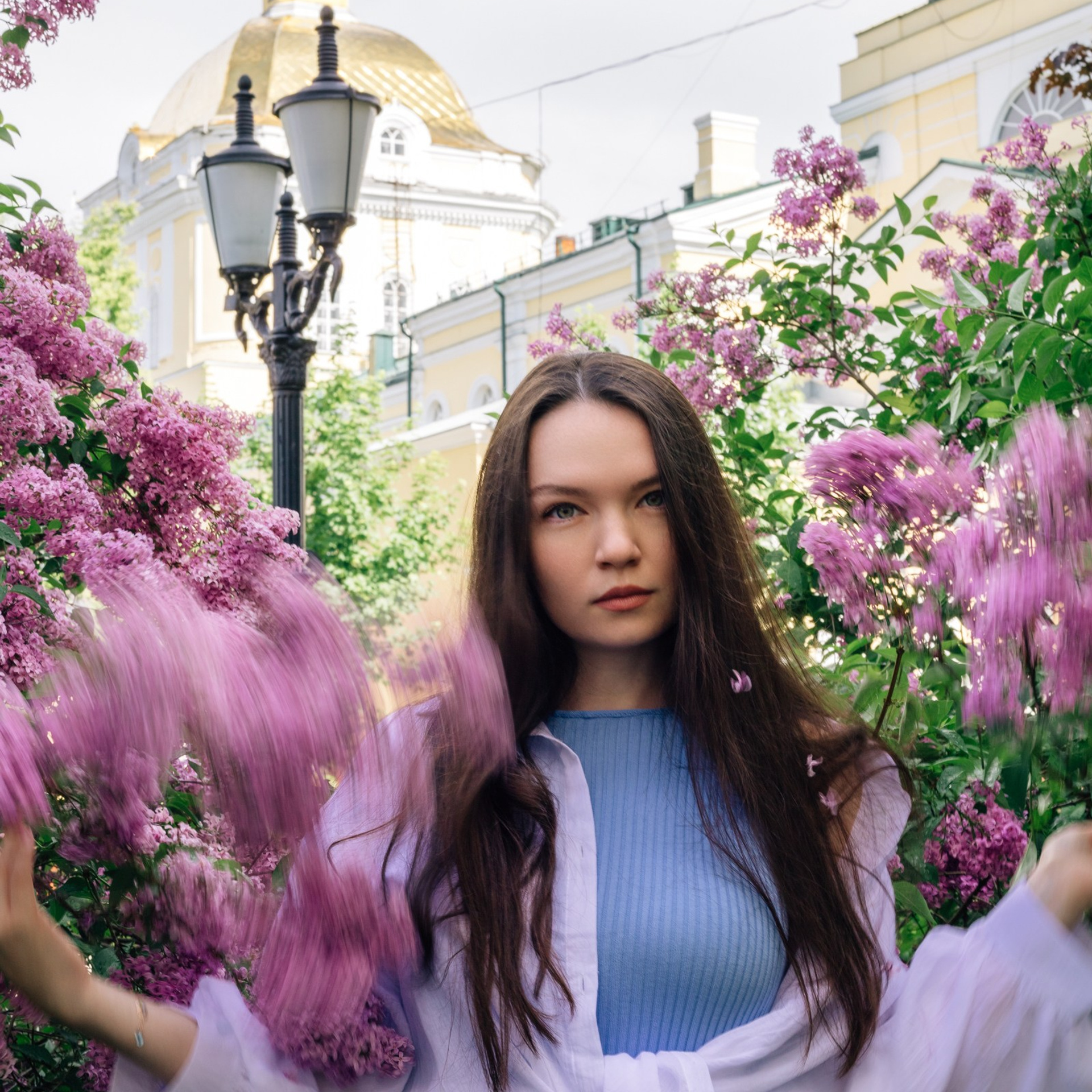 Смазы сирени. Екатерина. Июнь 2025