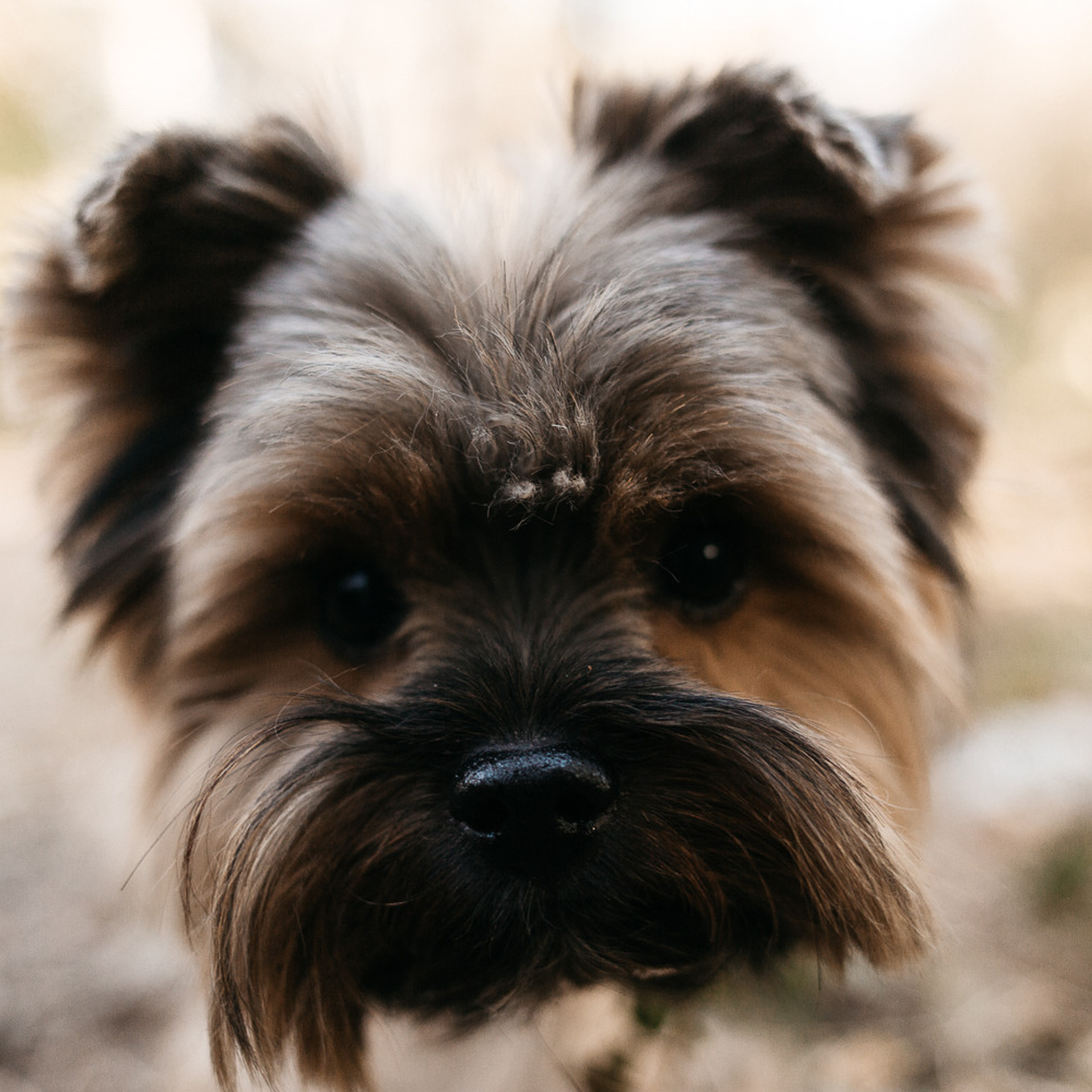 УЛИЧНЫЕ СЪЕМКИ