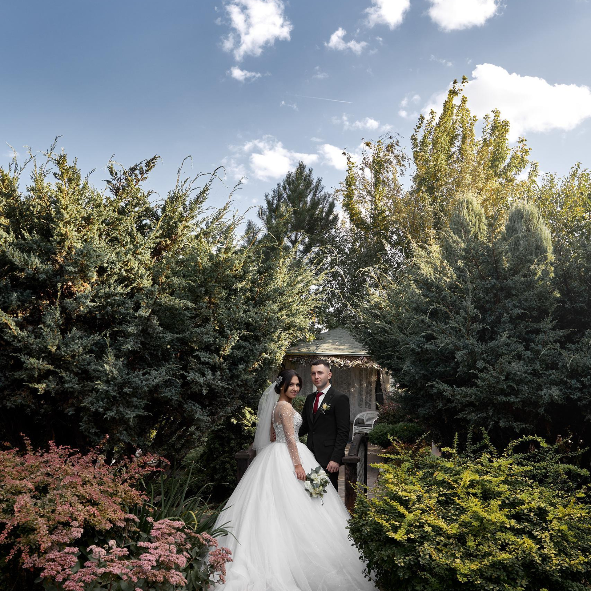 Отзывы. Свадебный и портретный фотограф в Ростове на Дону Андо Саргсян