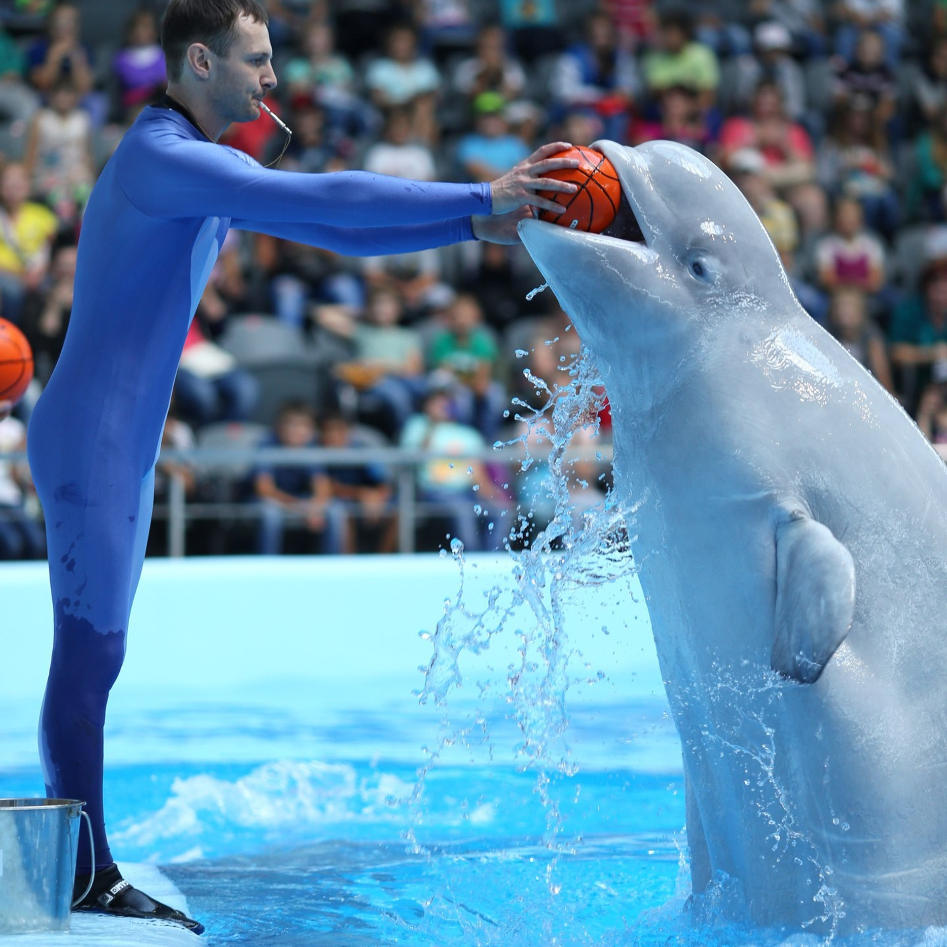 РЕПОРТАЖНАЯ СЪЕМКА