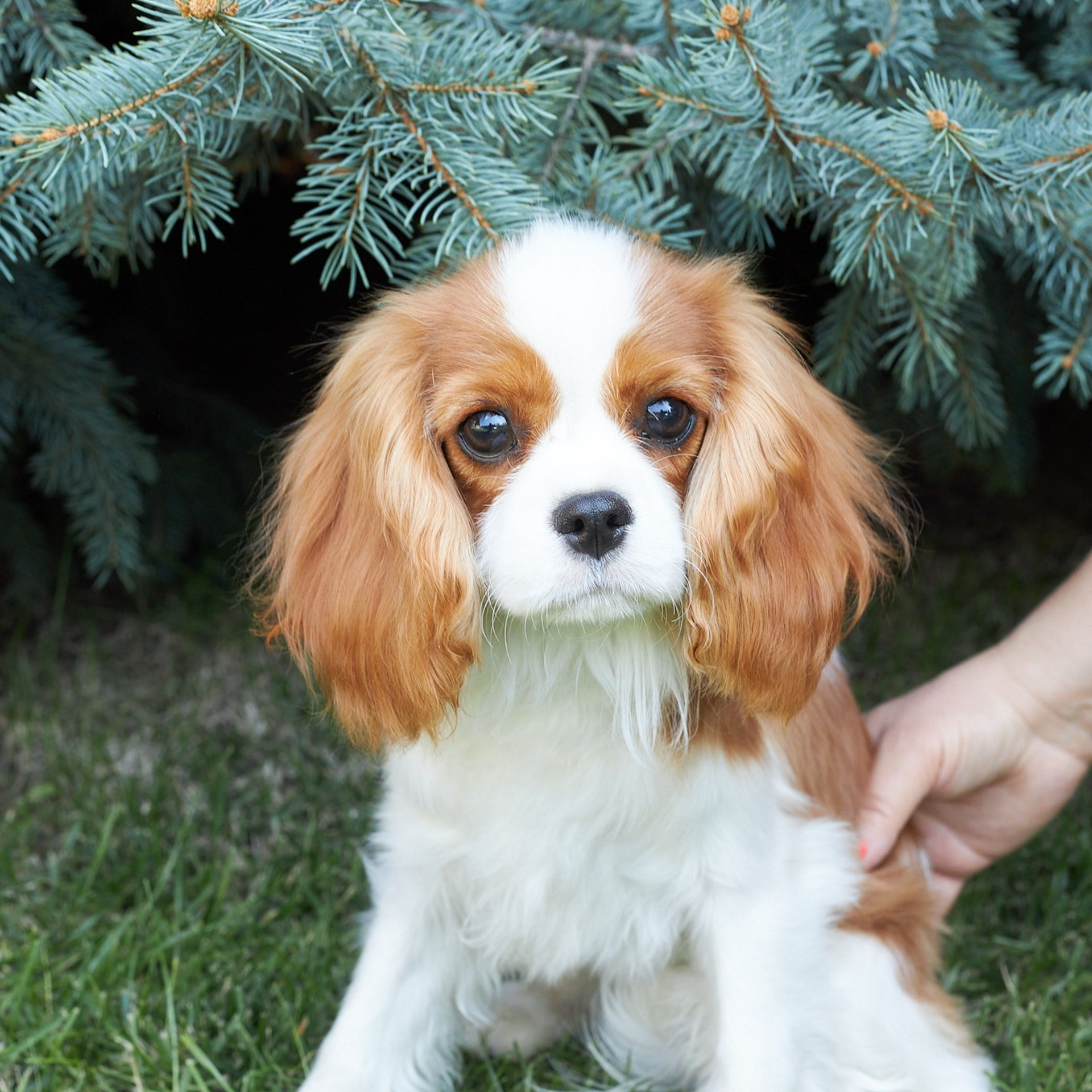 Отзывы. Женский и мужской фотограф в Алматы