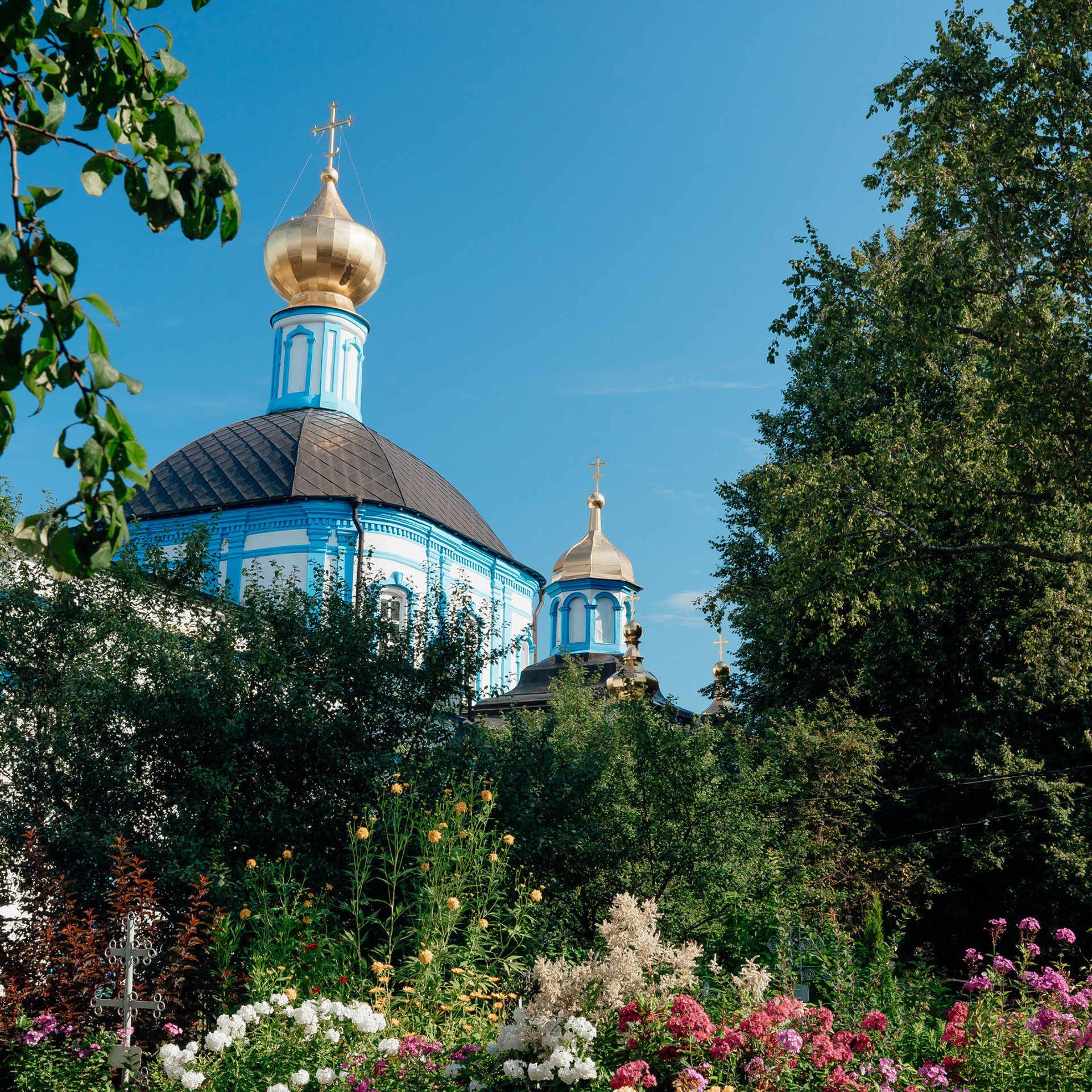 Отзывы. Фотограф новорожденных в Москве Щелково и МО Ангелина Энговатова