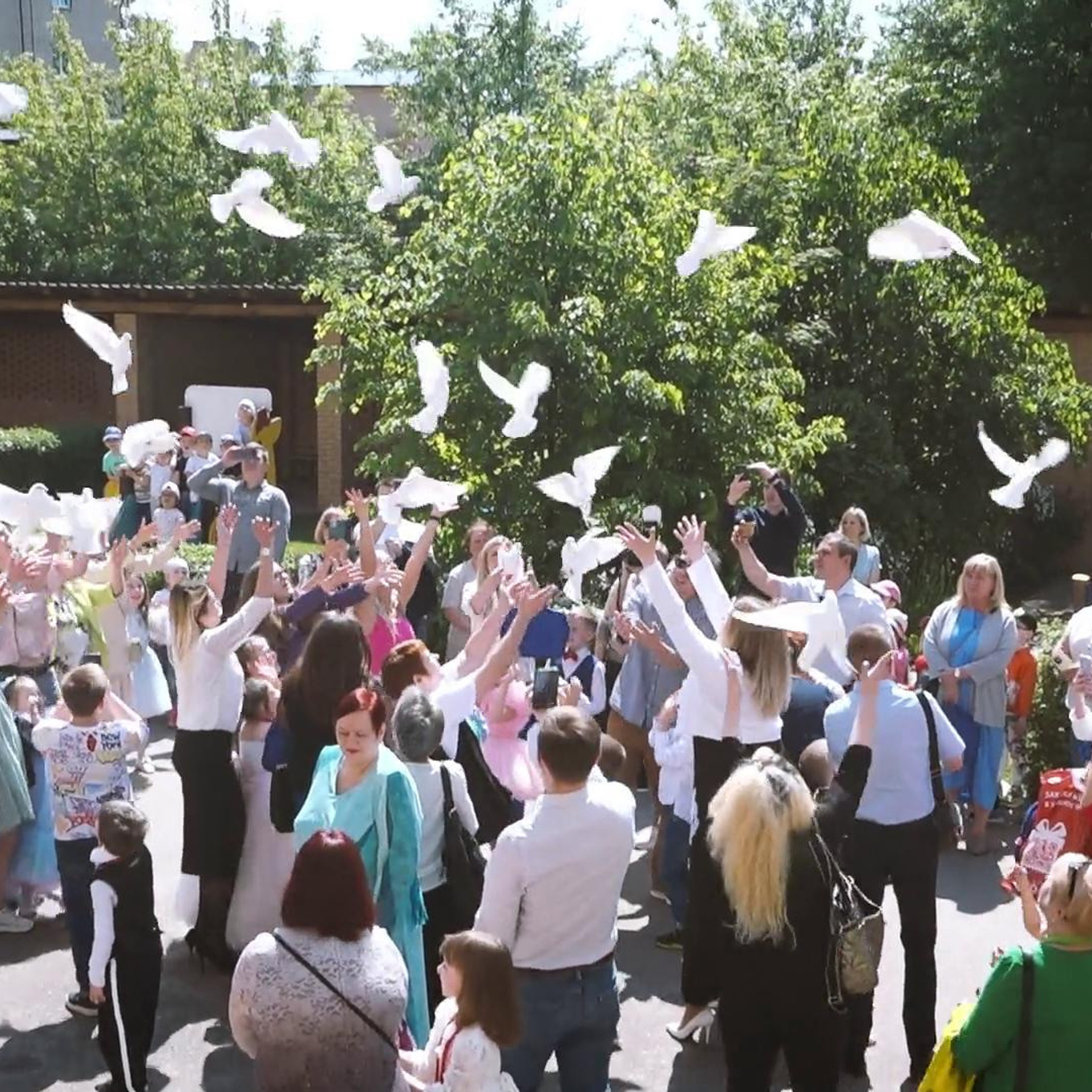 Отзывы. Творческая студия «Махавик». Свадебная фото и видеосъёмка в Подольске