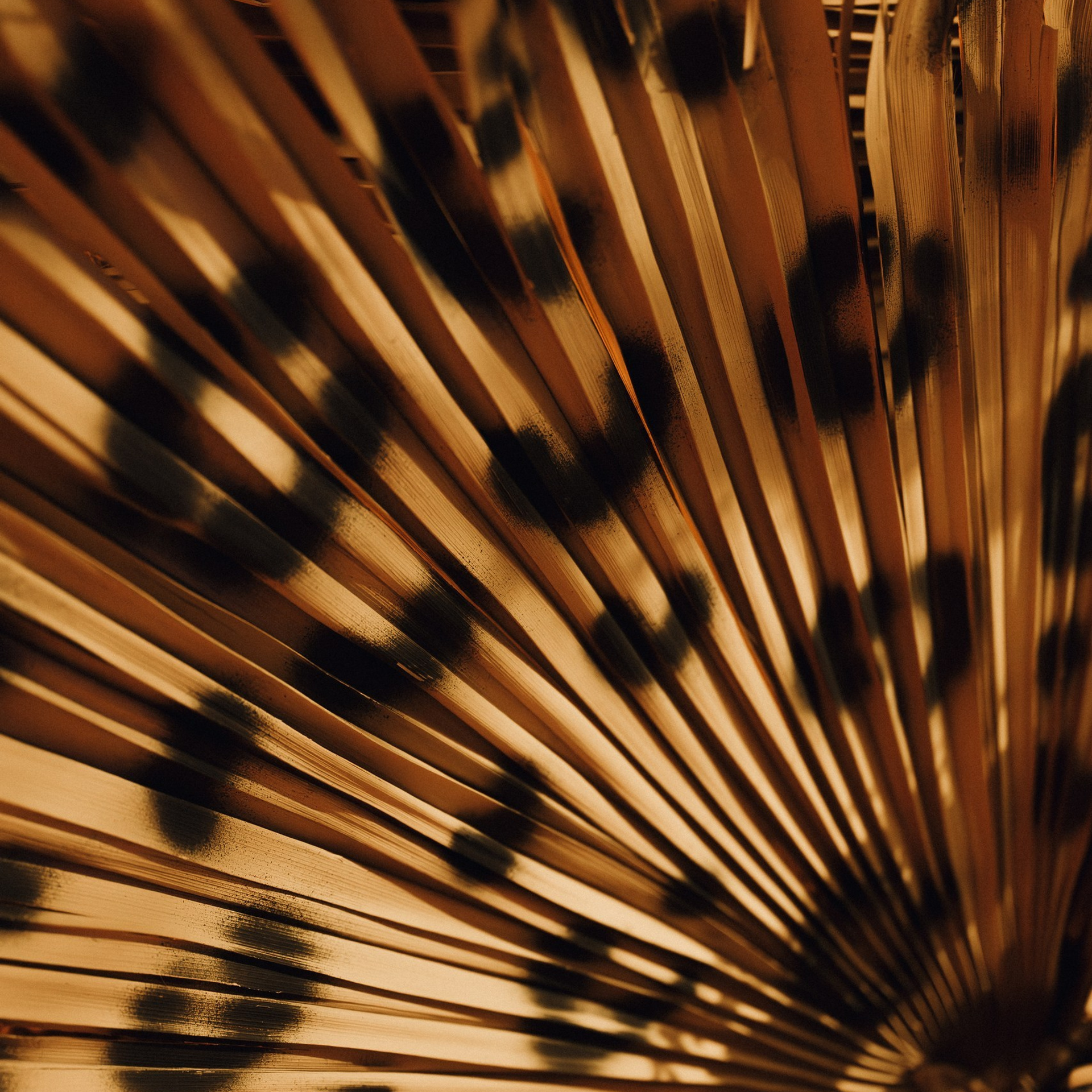 7waysconsult | winter