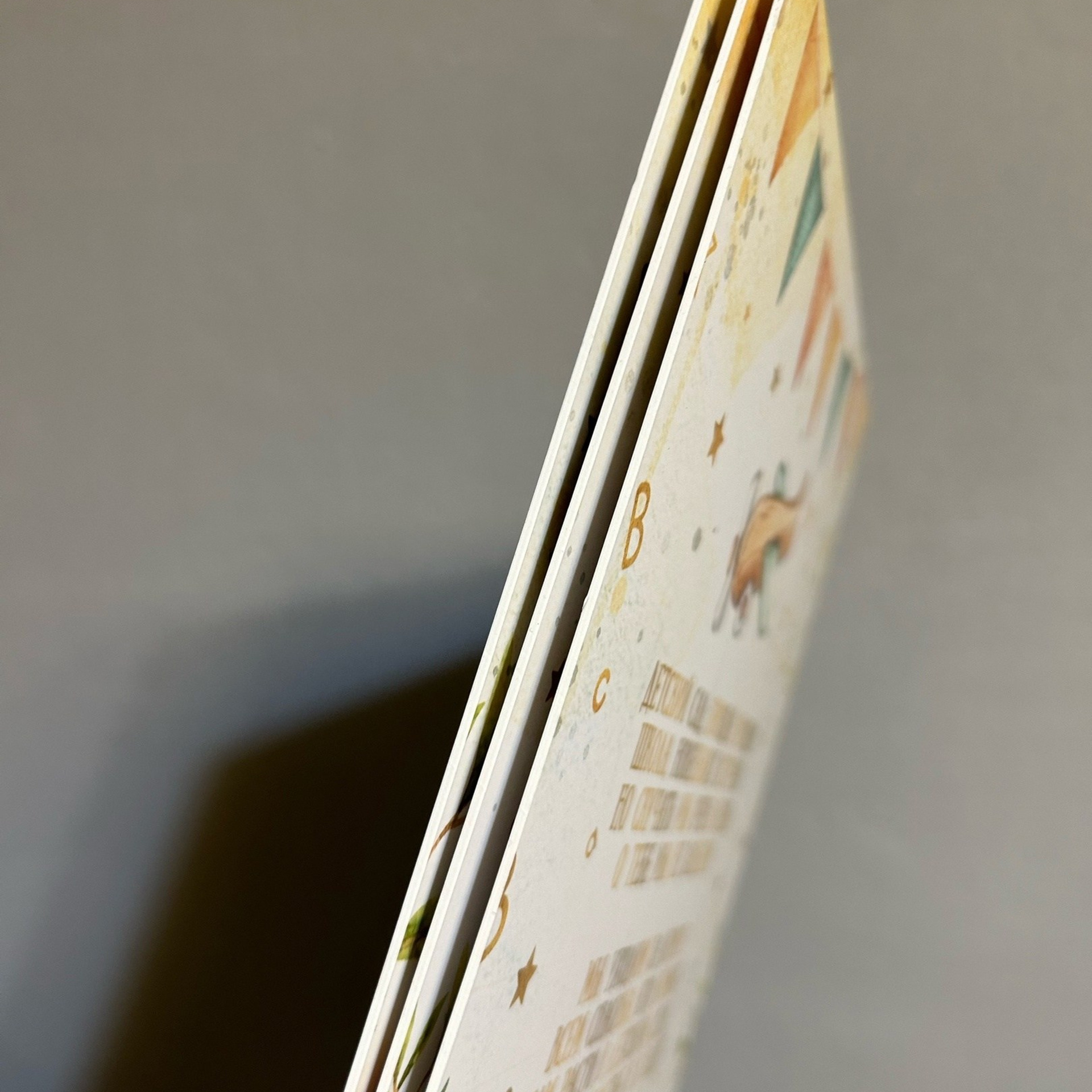 Фотоальбом. Фотограф Бондарева Диана