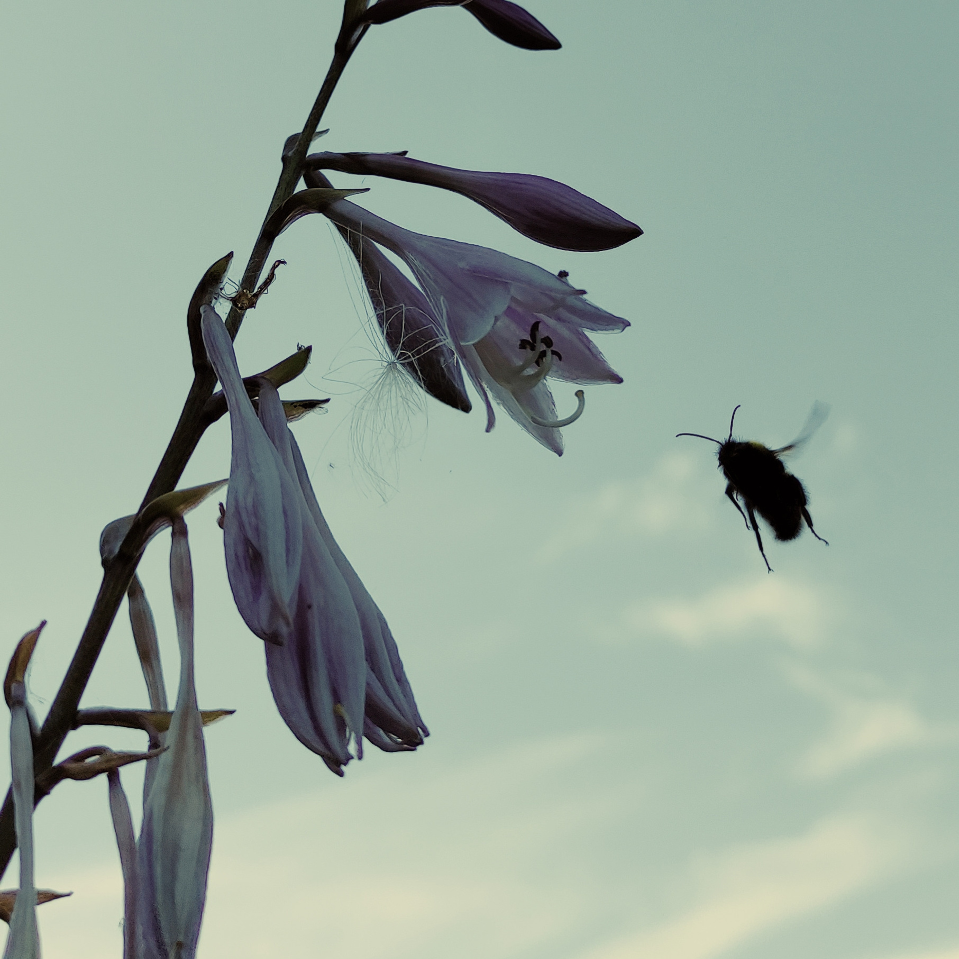 ЗАРИСОВКИ. Ирина Князева | фотограф | Москва