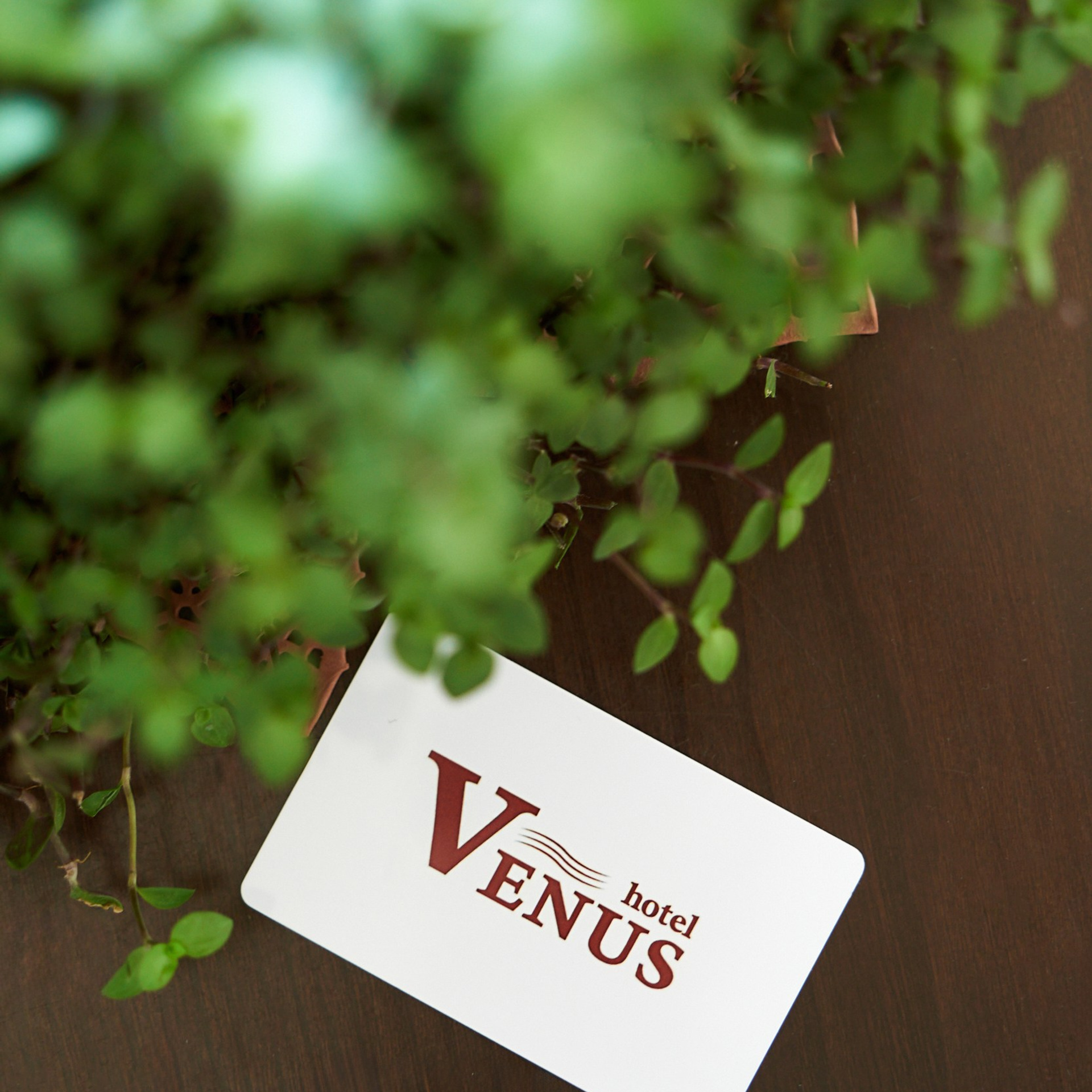 Фотограф в Анапе. Контент, репортаж, интерьер. Профессиональный фотограф в Анапе Артем Ковальский