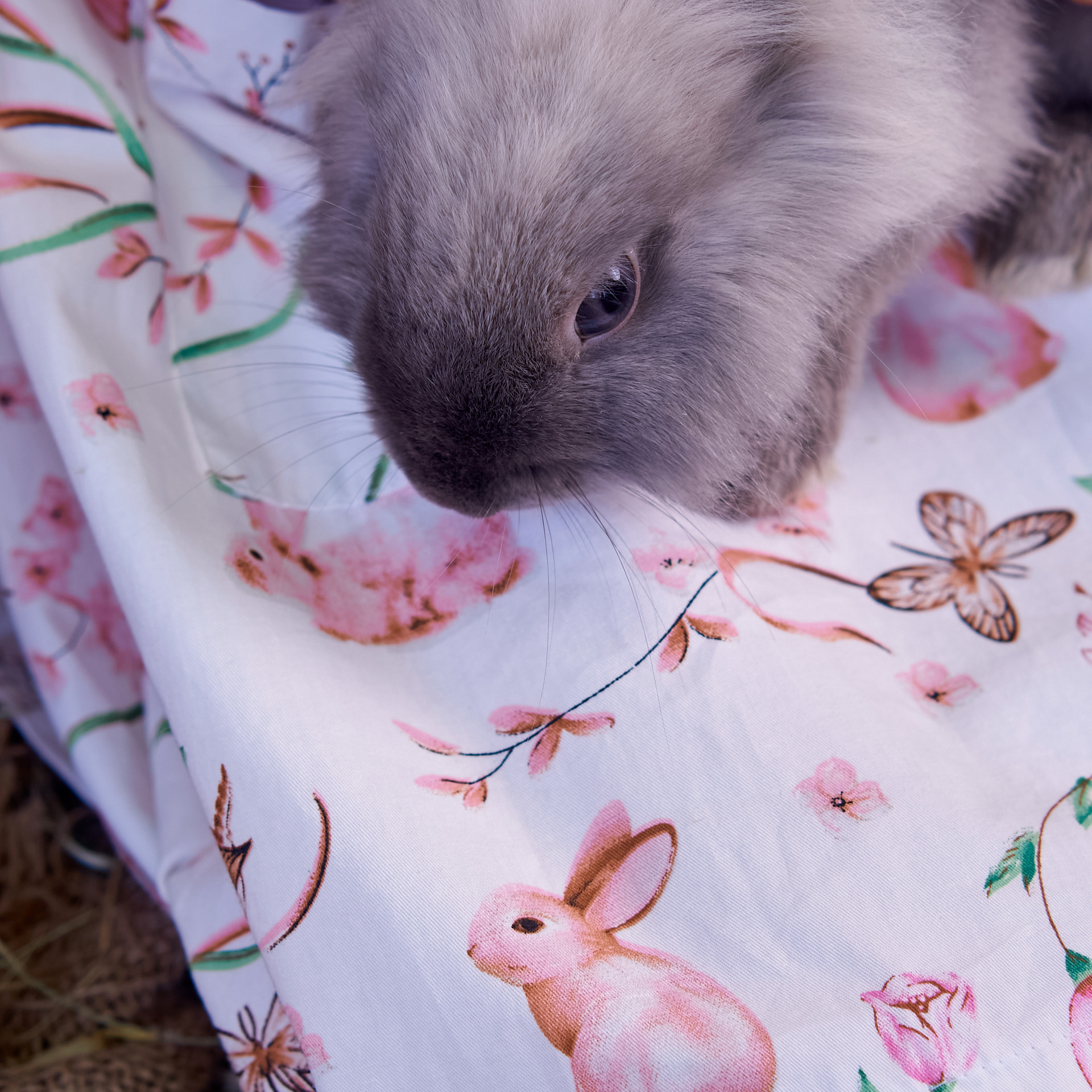 Пасхальная фотосессия