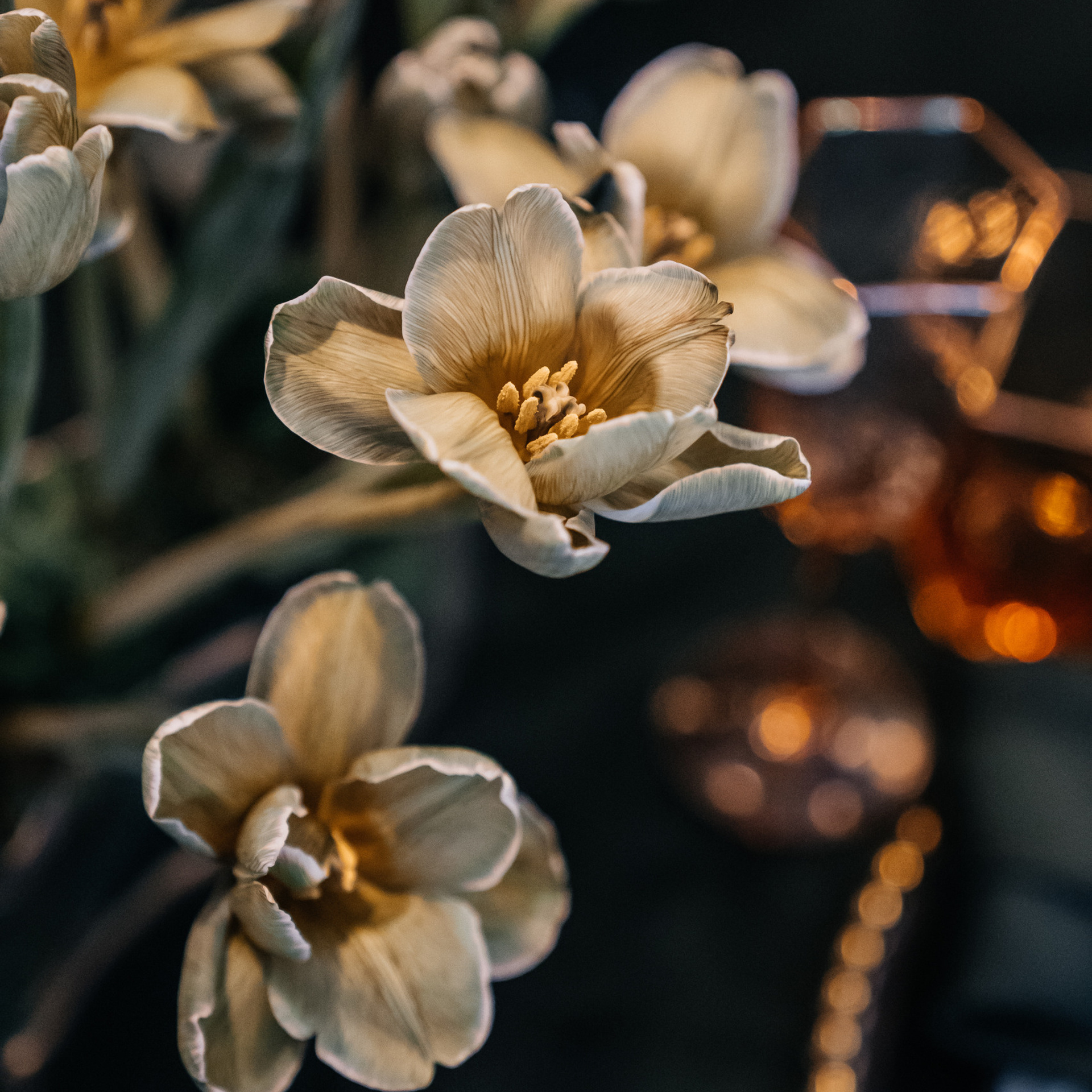 Отзывы. Свадебный и семейный фотограф В Барнауле Нечаева Таня