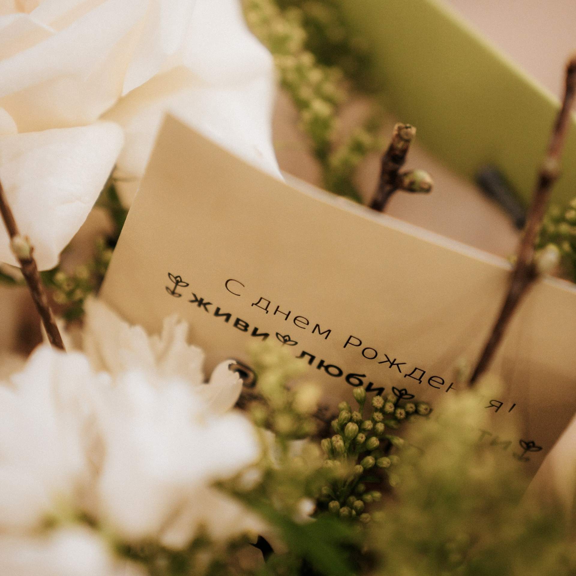 Отзывы. Свадебный и семейный фотограф В Барнауле Нечаева Таня