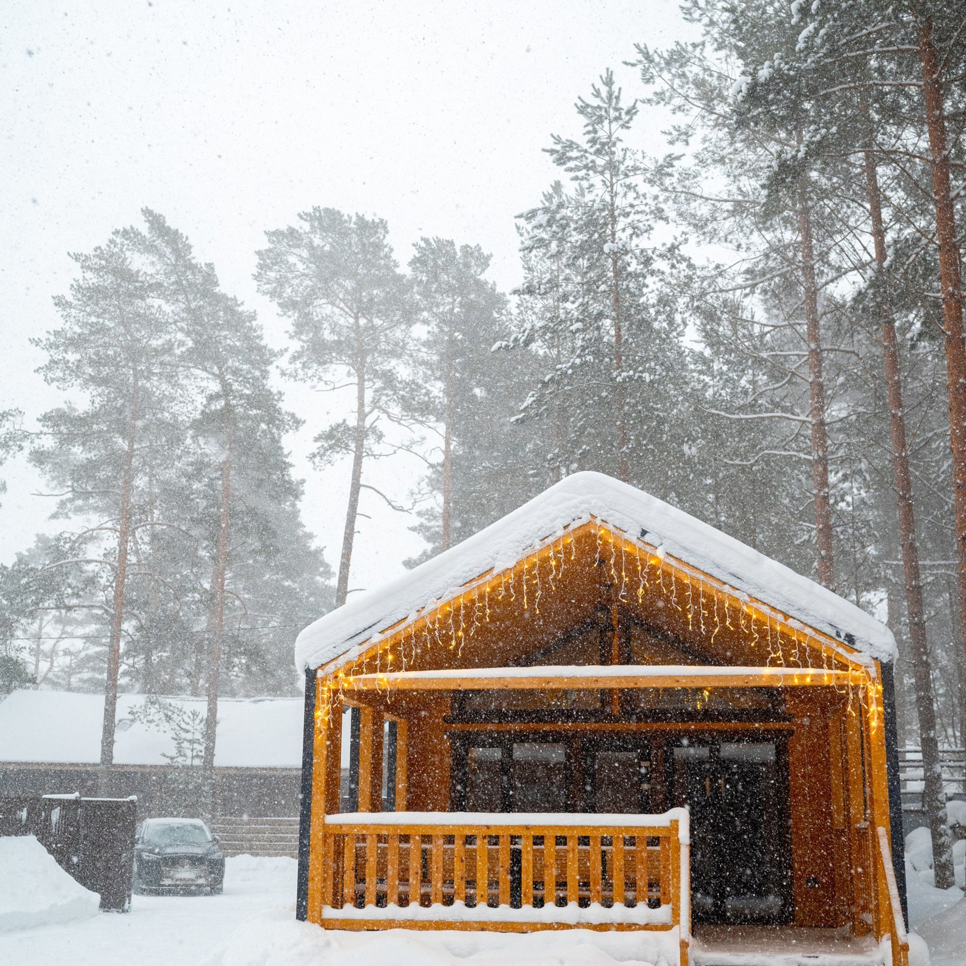 Отзывы. Ваш свадебный и семейный фотограф