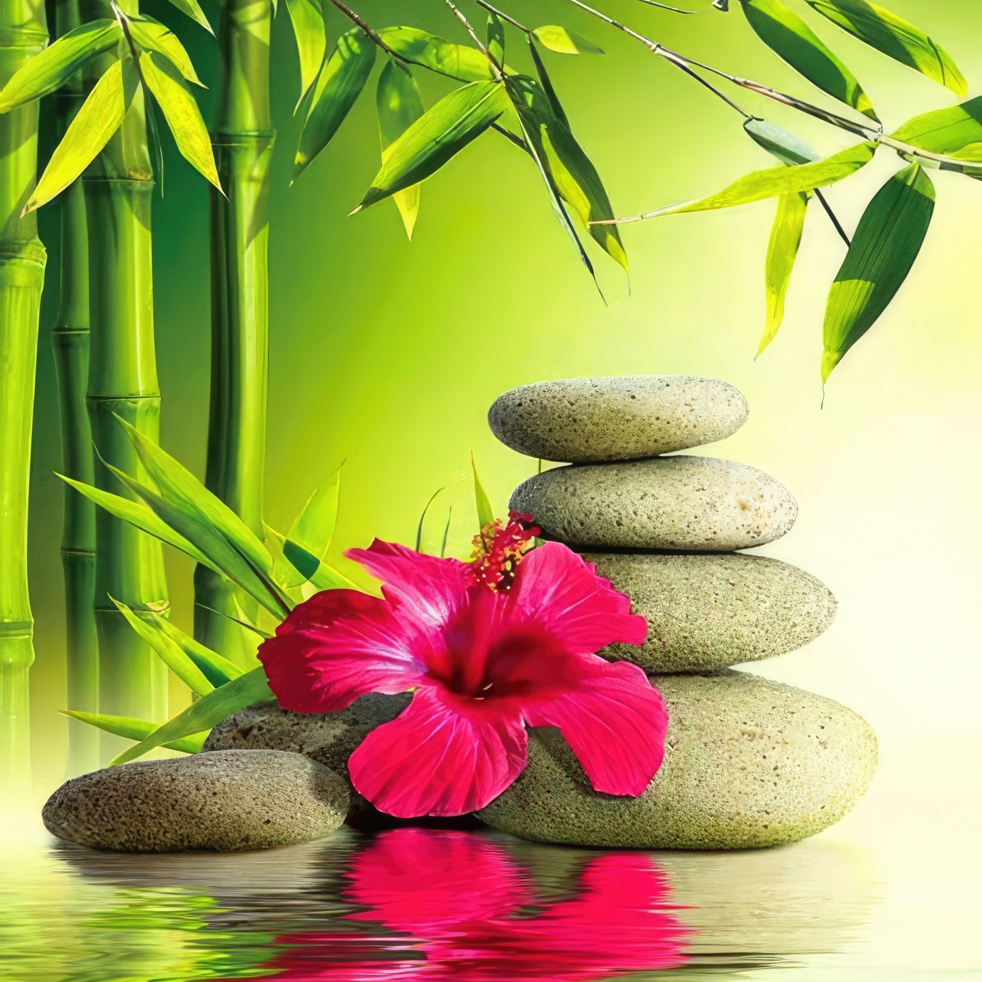 Цветы. Алмазная мозаика CVL