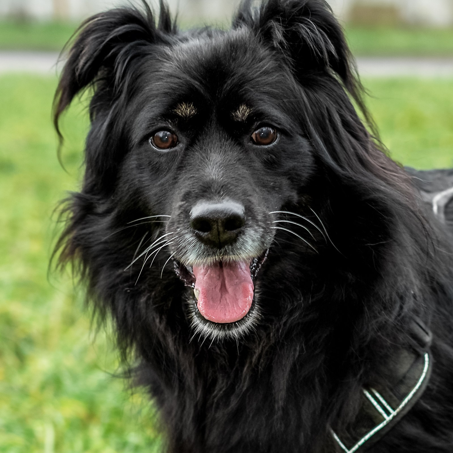 Отзывы. Фотограф Москва