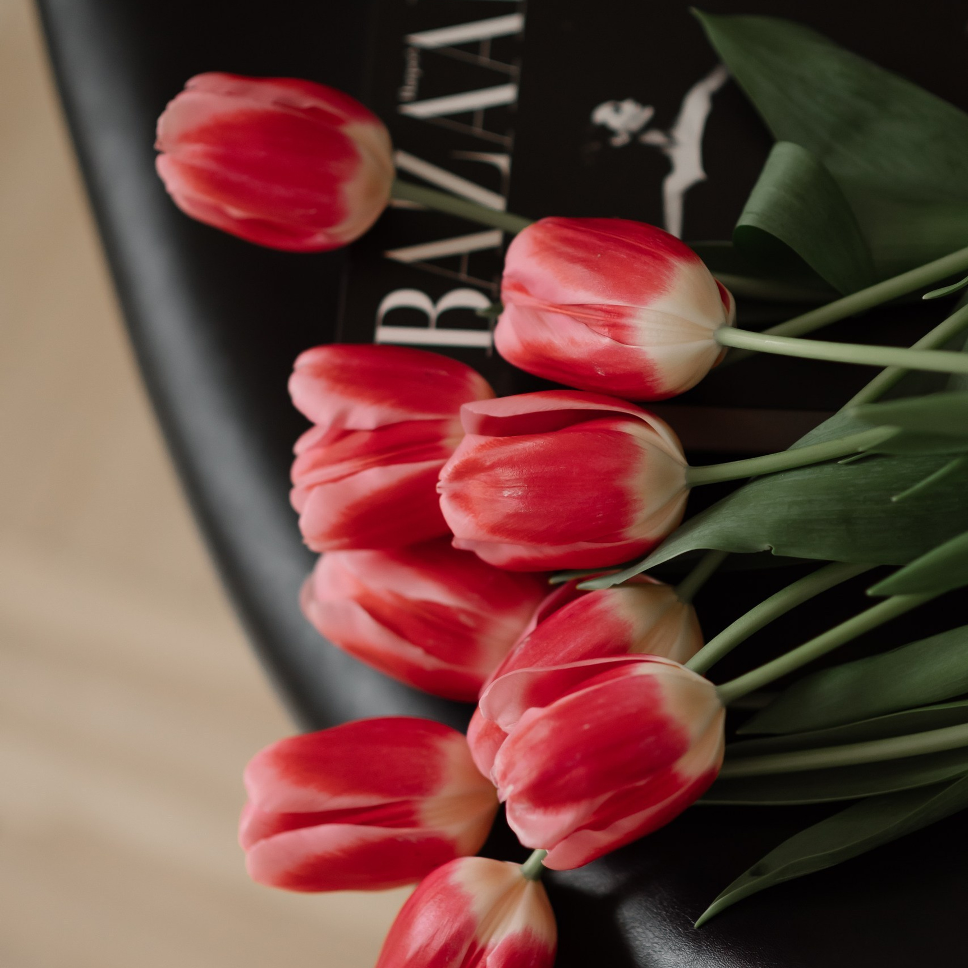 Отзывы. Семейный фотограф ЕЛЕНА ШАФИГУЛИНА