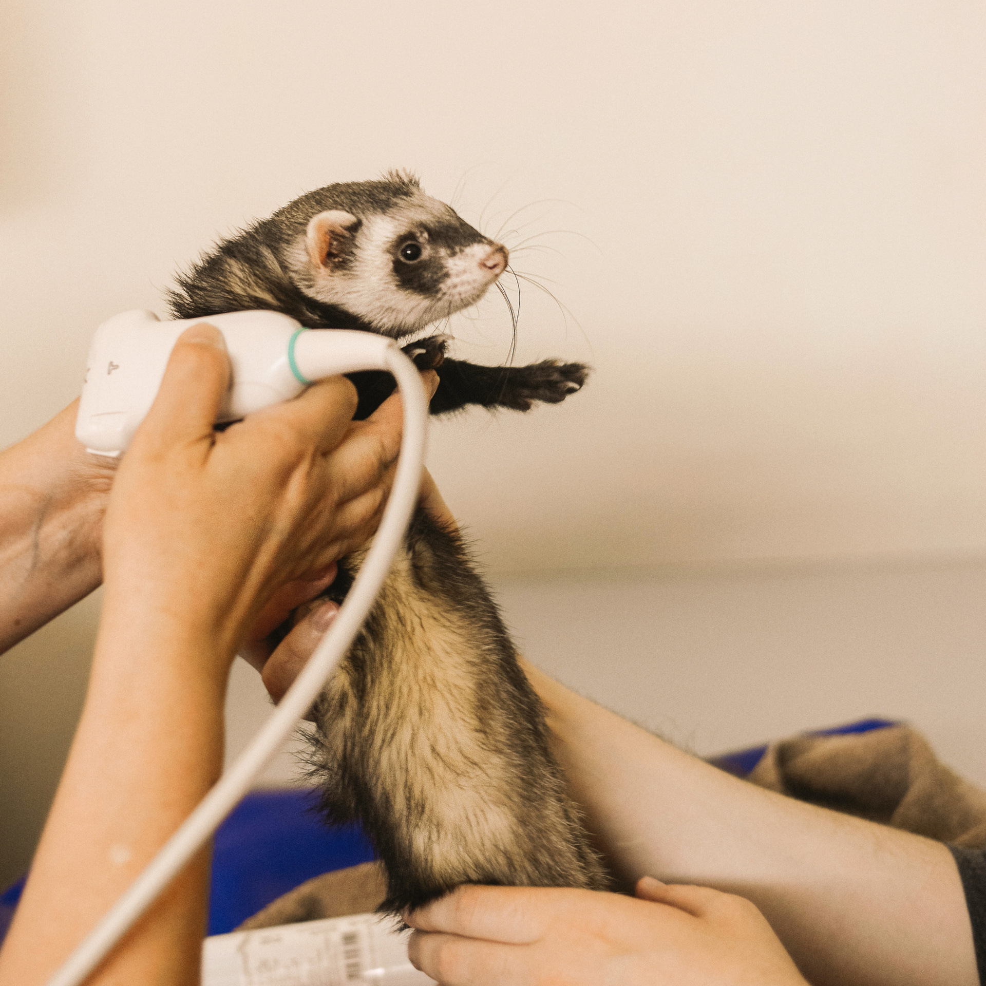 Отзывы. Фотограф Регина С