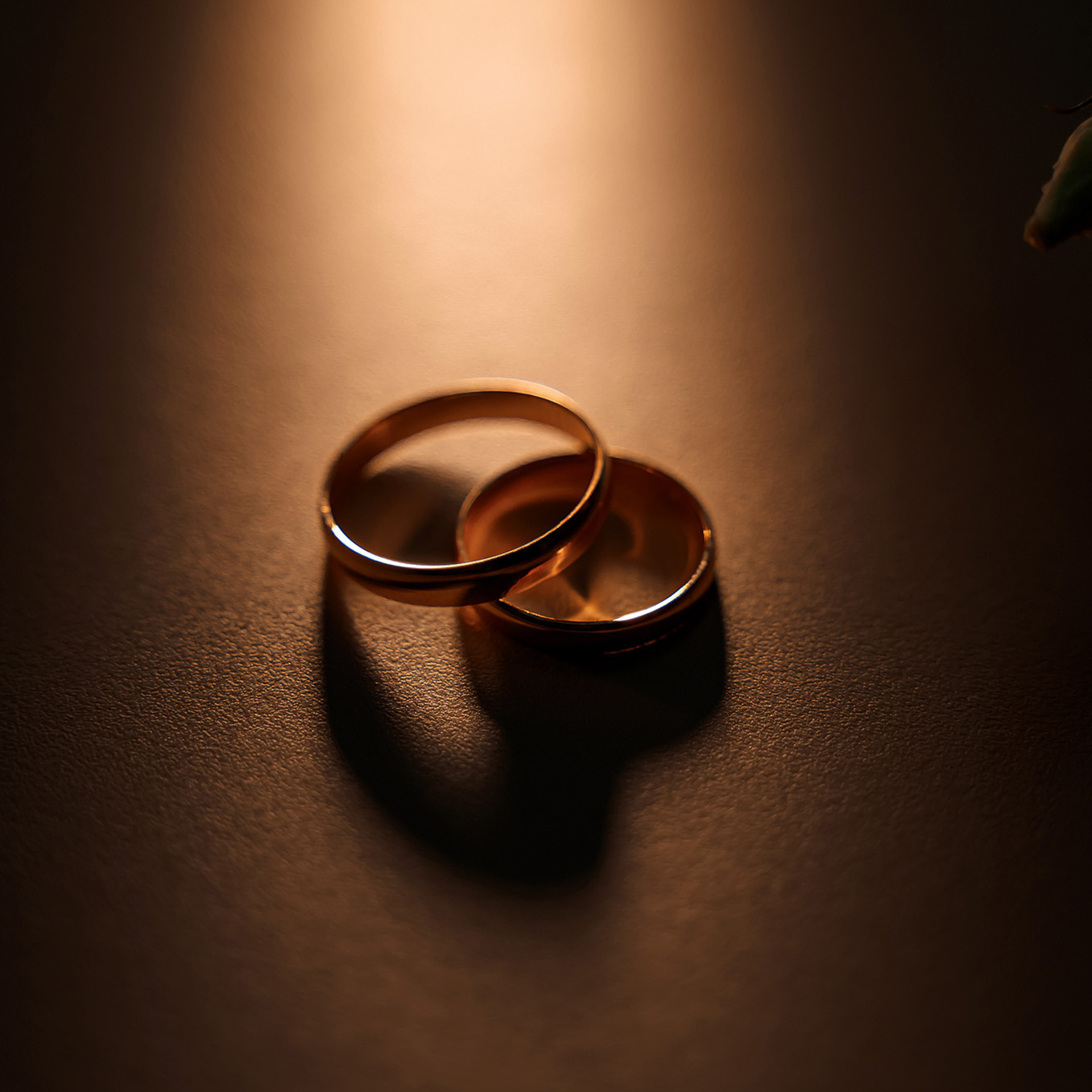 Отзывы. Фотограф Настя Непогодьева, Москва