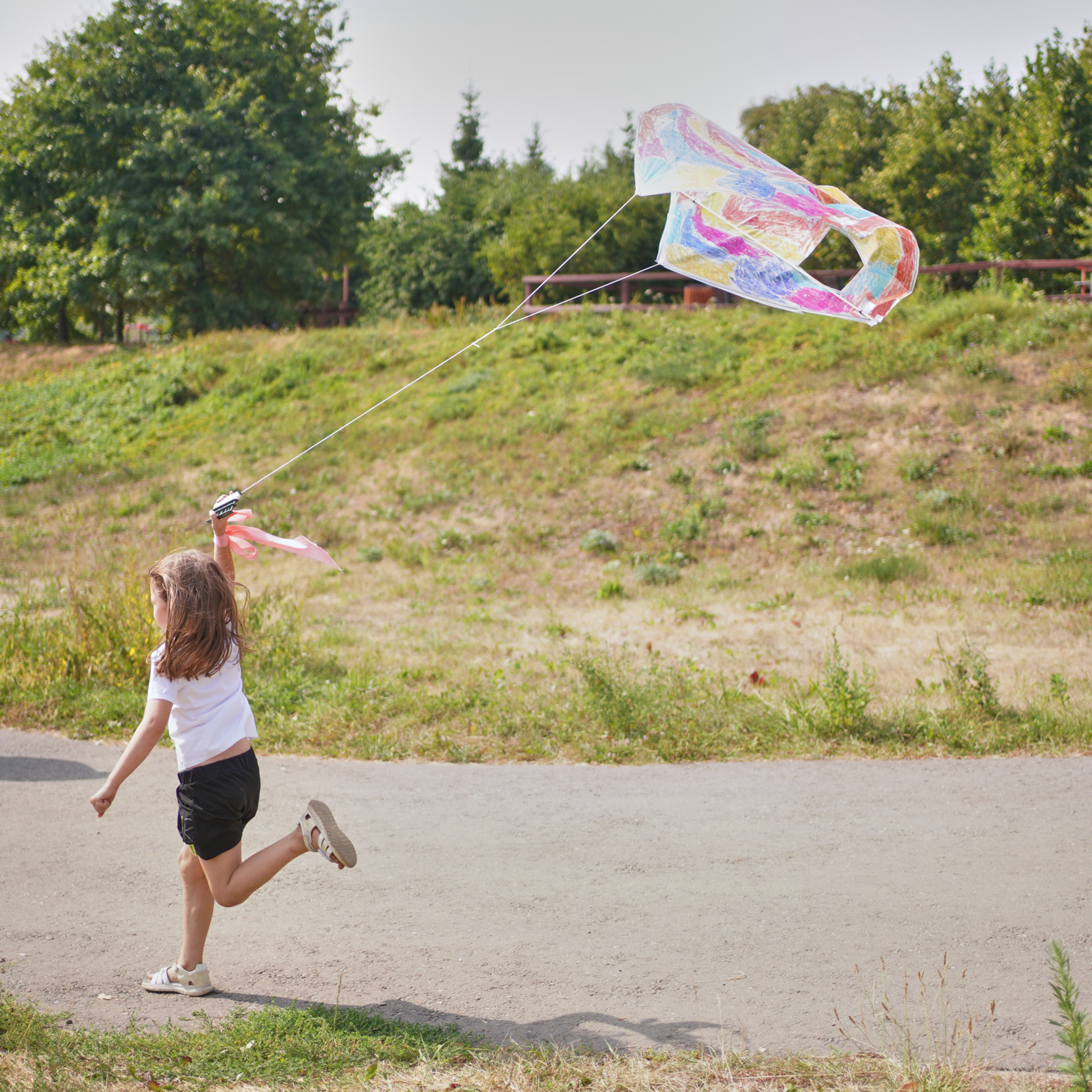 Фестиваль воздушных змеев