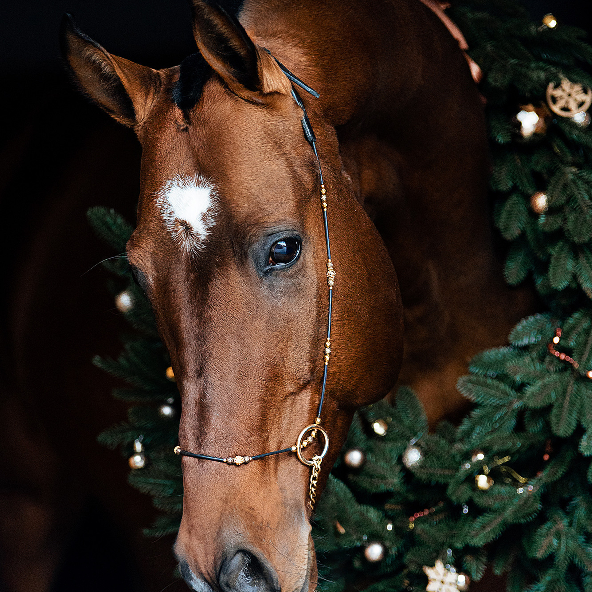 Анастасия и Лютик