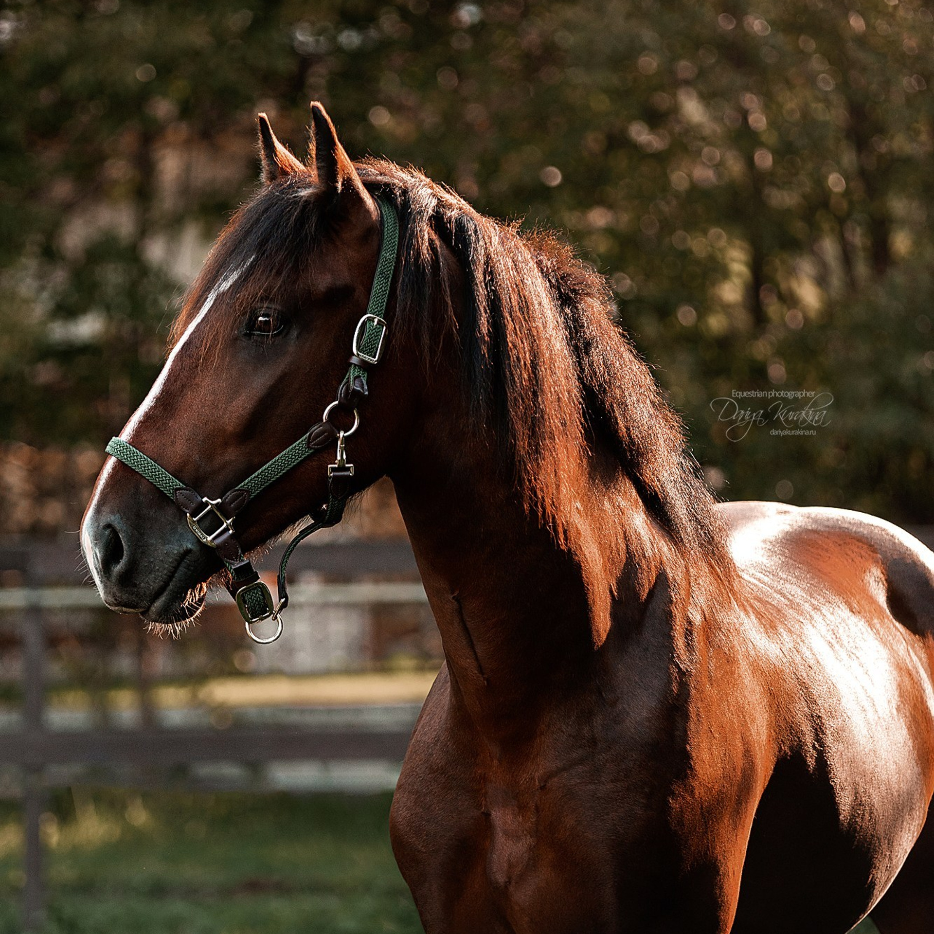 Волконский
