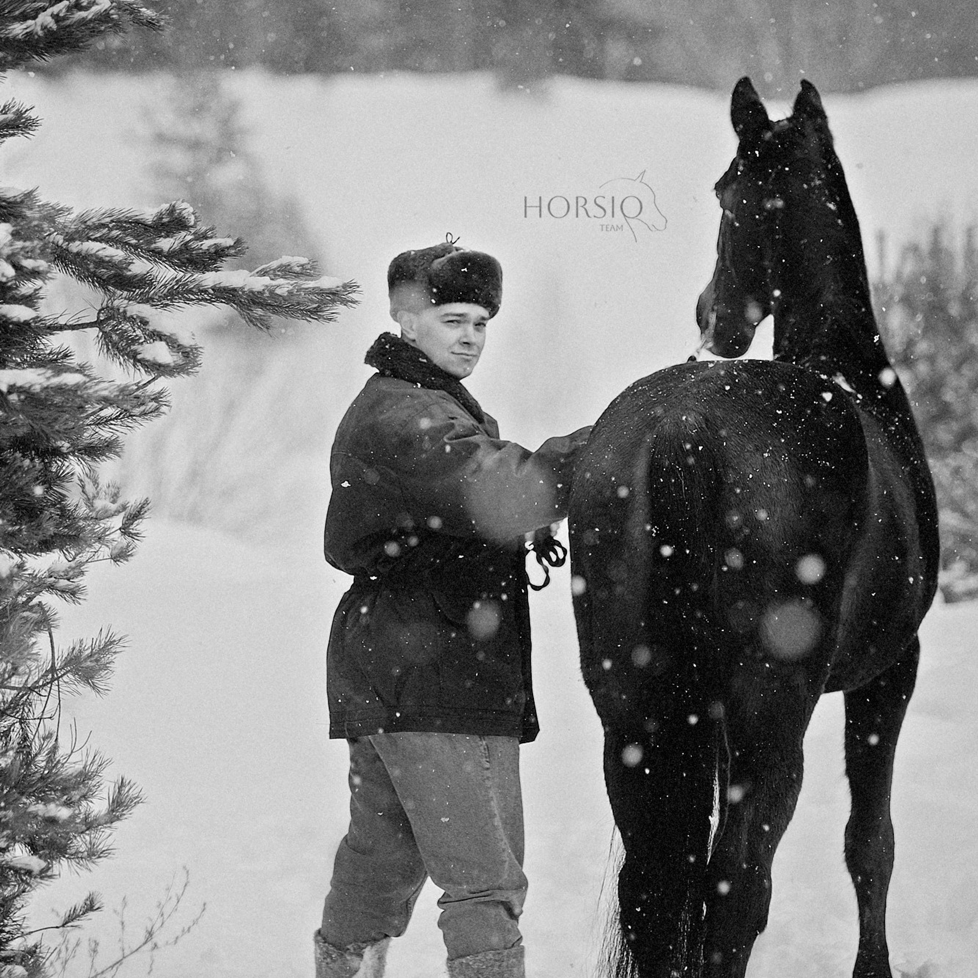 Добрый товарищ