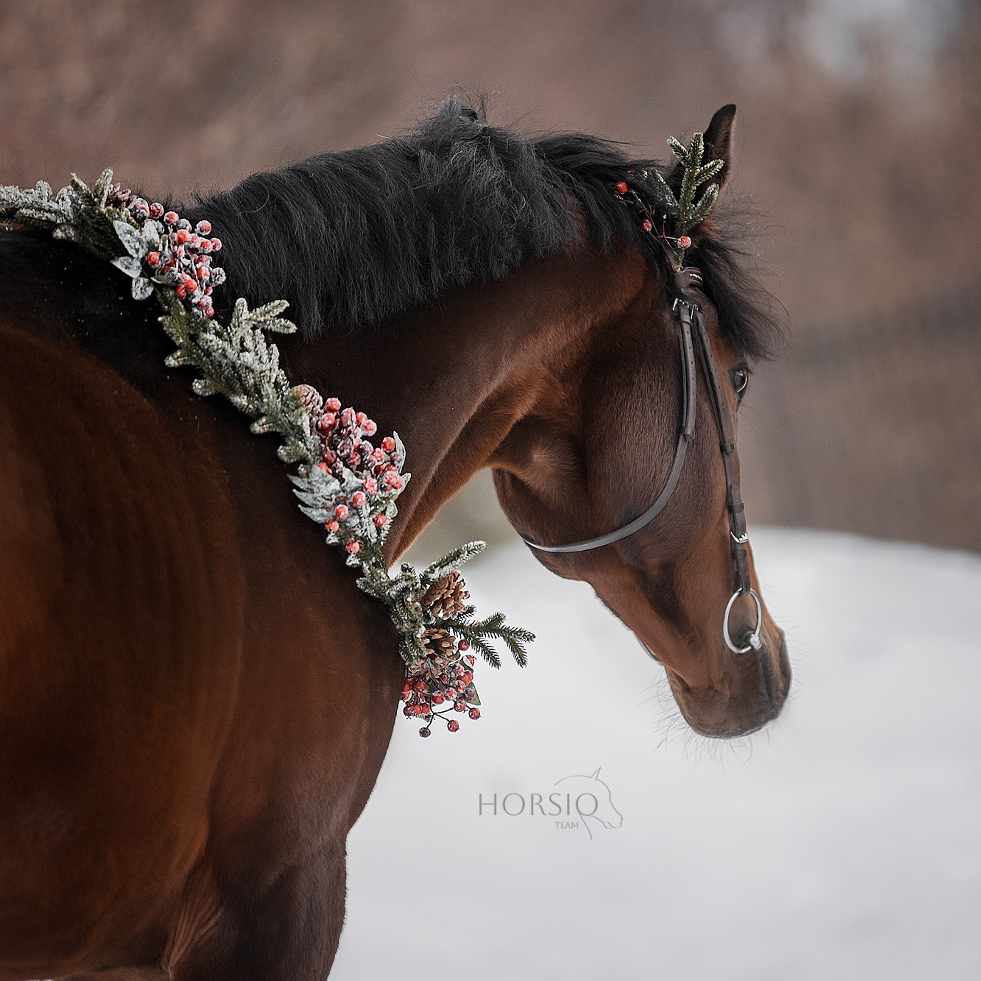 Юник Эррай, HORSIO