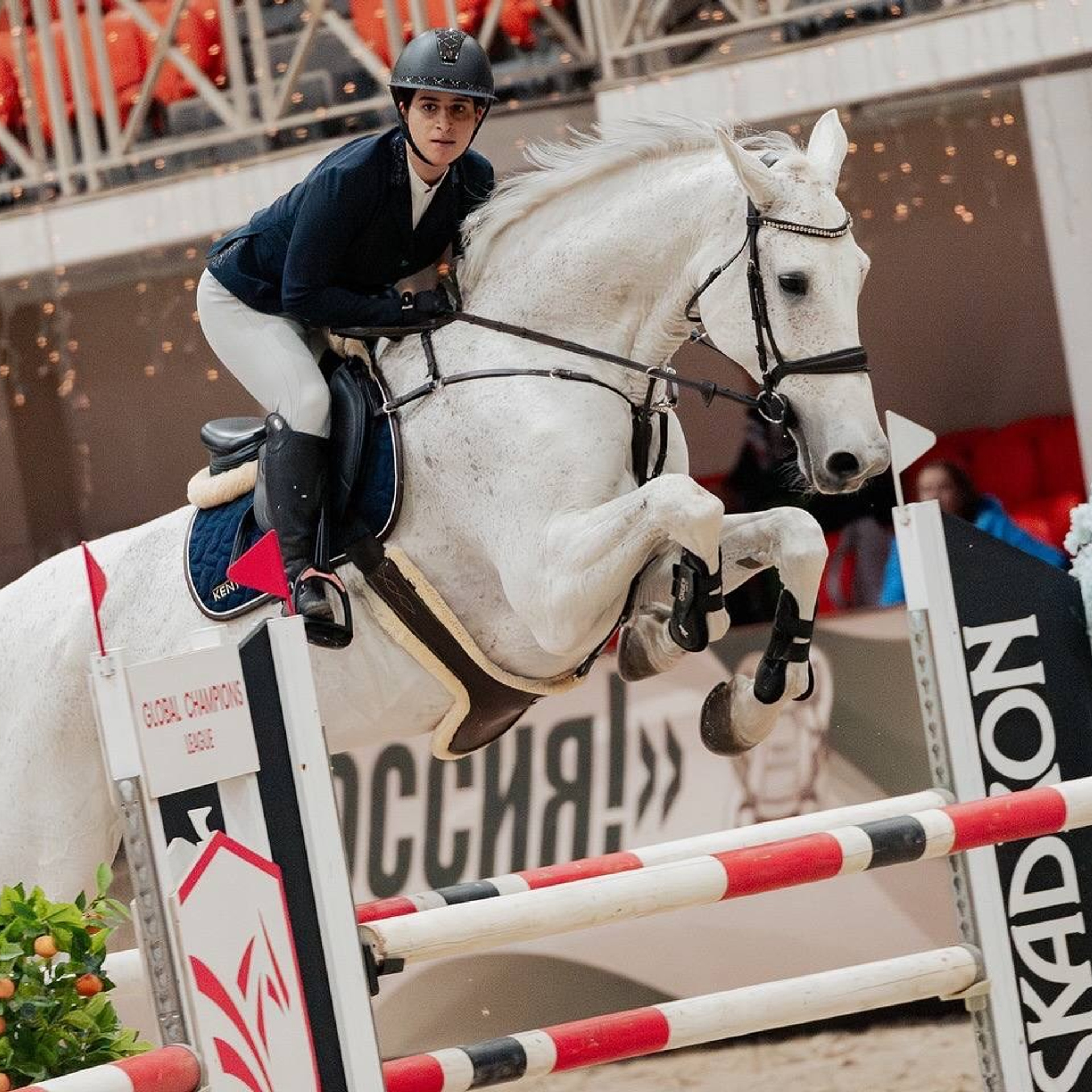 ВСЕРОССИЙСКИЕ СОРЕВНОВАНИЯ ПО&nbsp;КОНКУРУ «ОСЕННИЙ КУБОК»