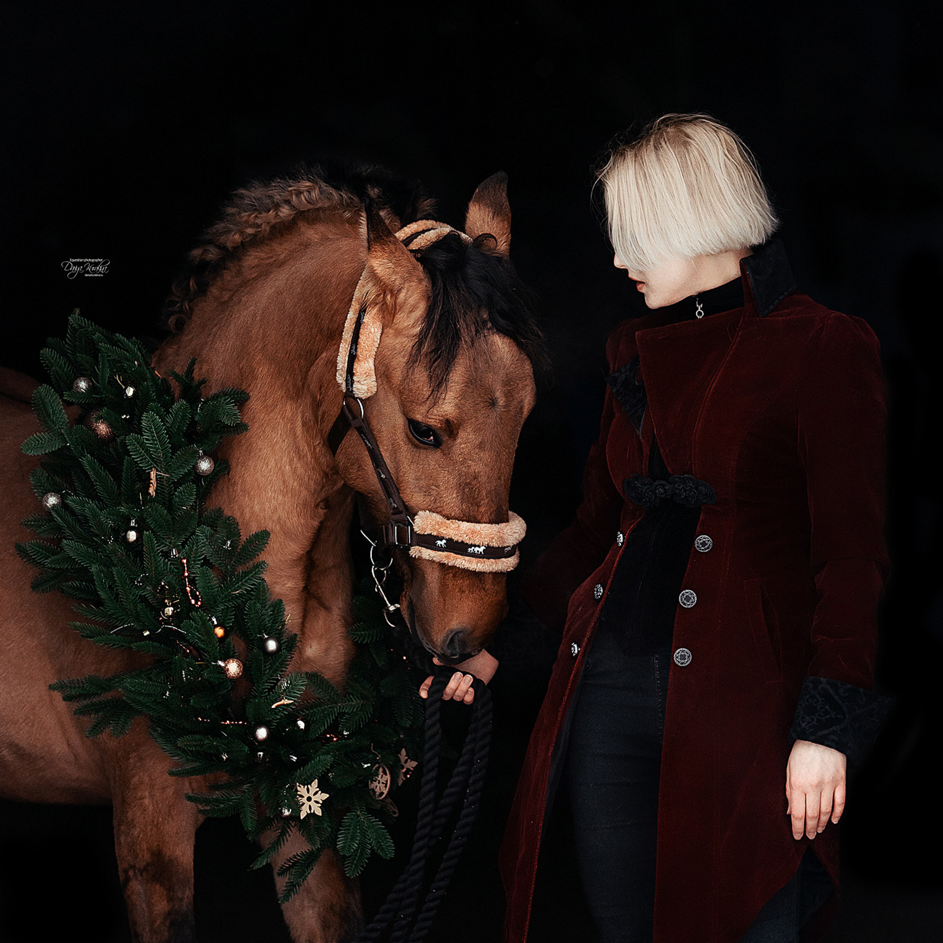 Фотодень Беленджер