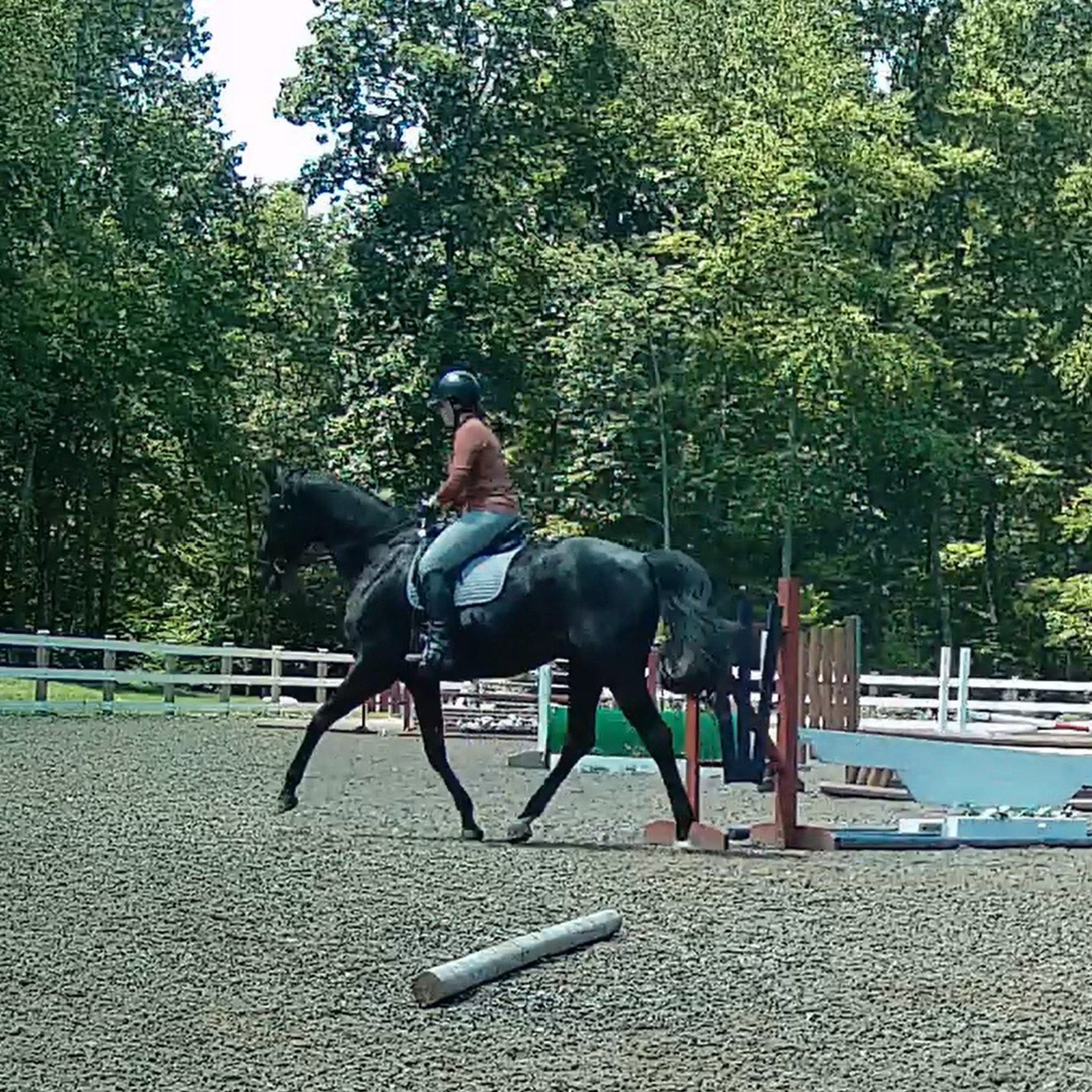 Заявка на пробную запись видео выступления. Liana Antanovich | Equestrian Strategies