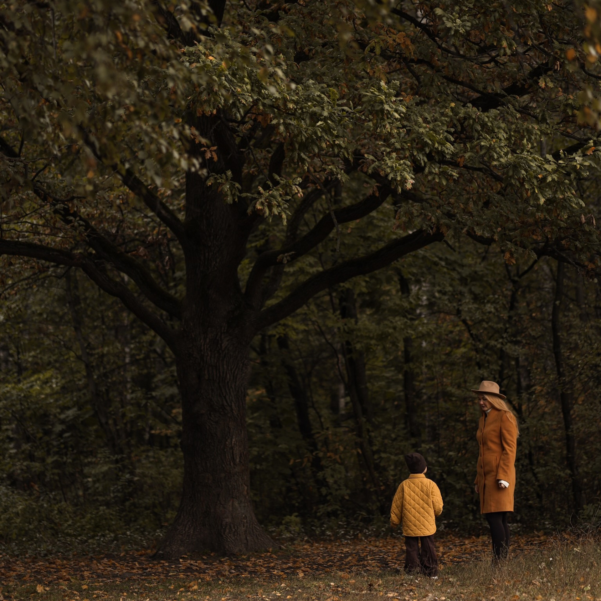 Катя и Гриша